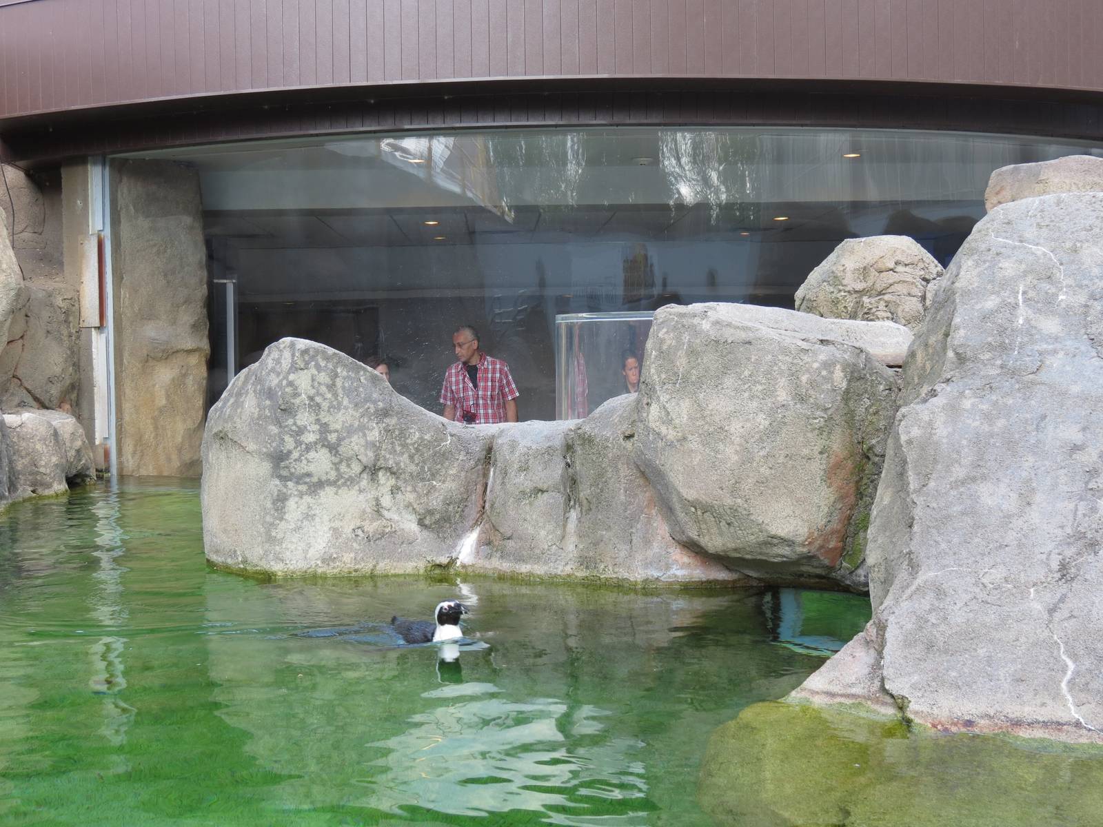 Penguin Point - Exterior