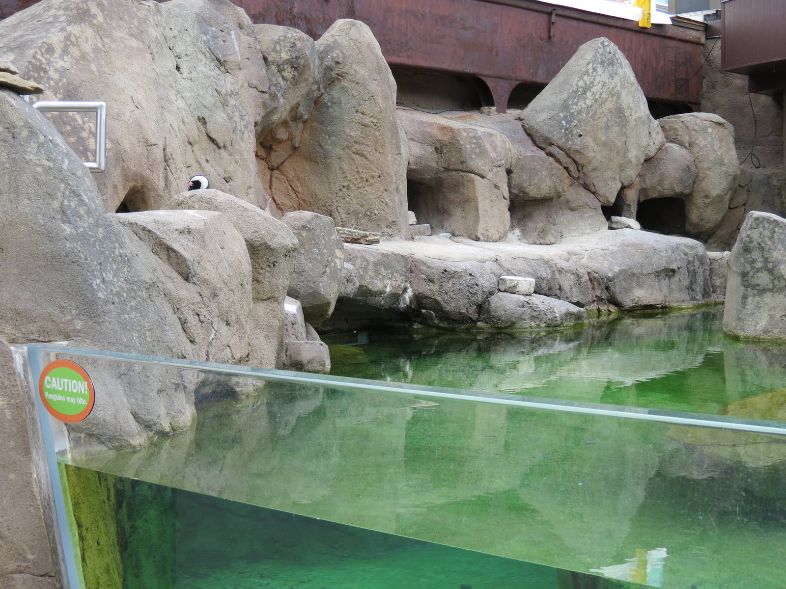 Penguin Point - Exterior