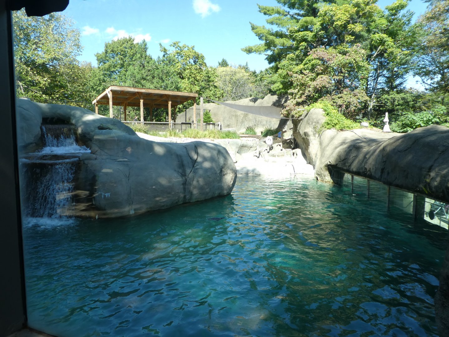 Penguin Point - Humboldt Penguin/Flying Steamer-Duck Exhibit