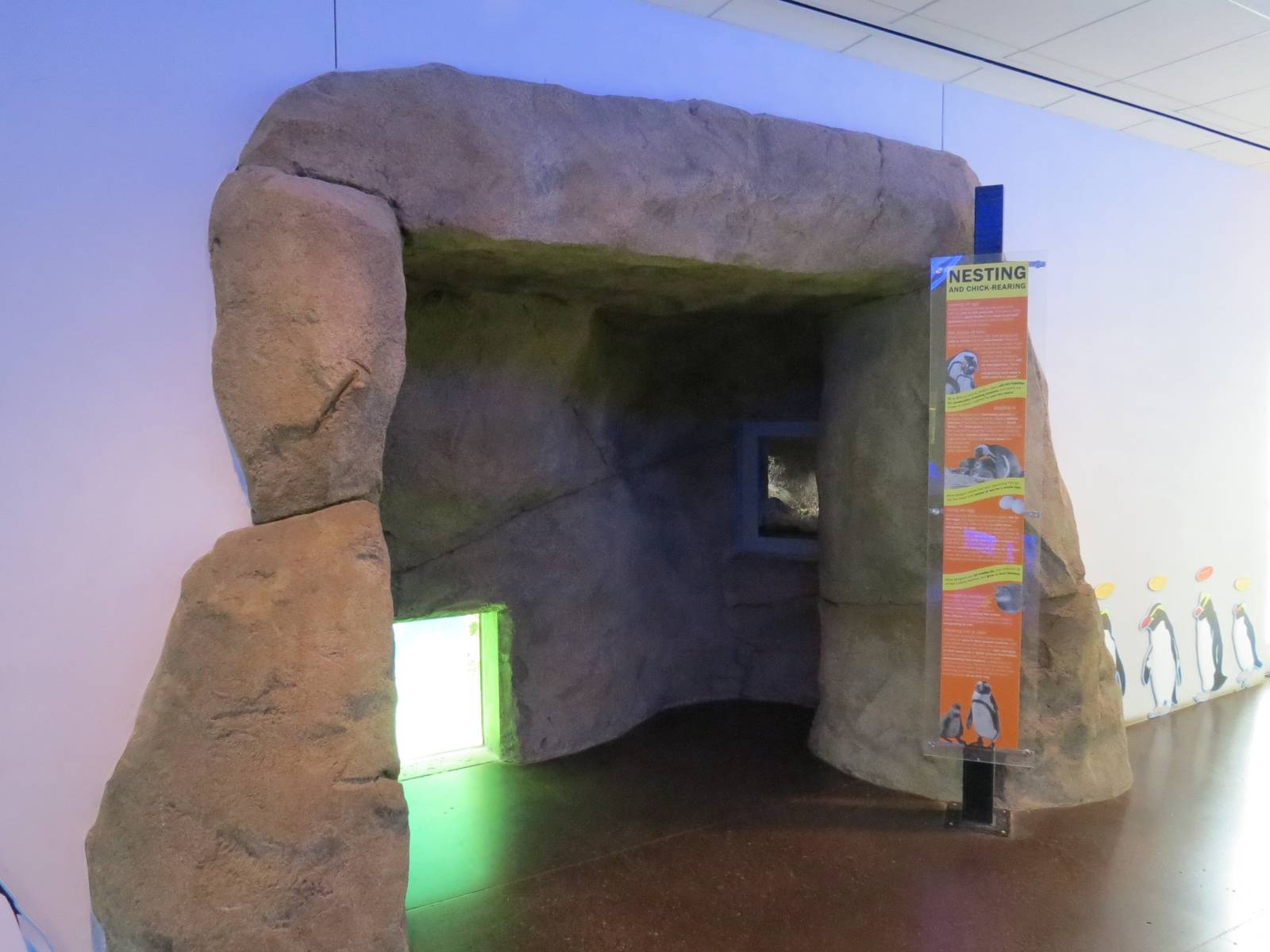 Penguin Point - Interior Niche Viewing Area