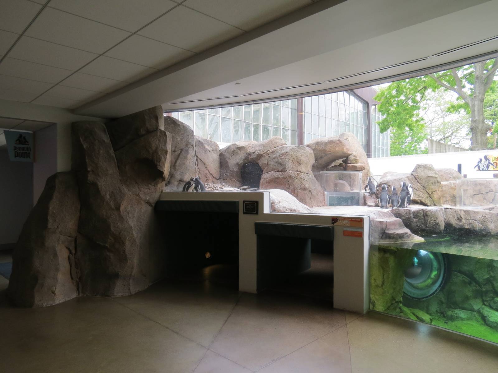 Penguin Point - Interior Viewing Window