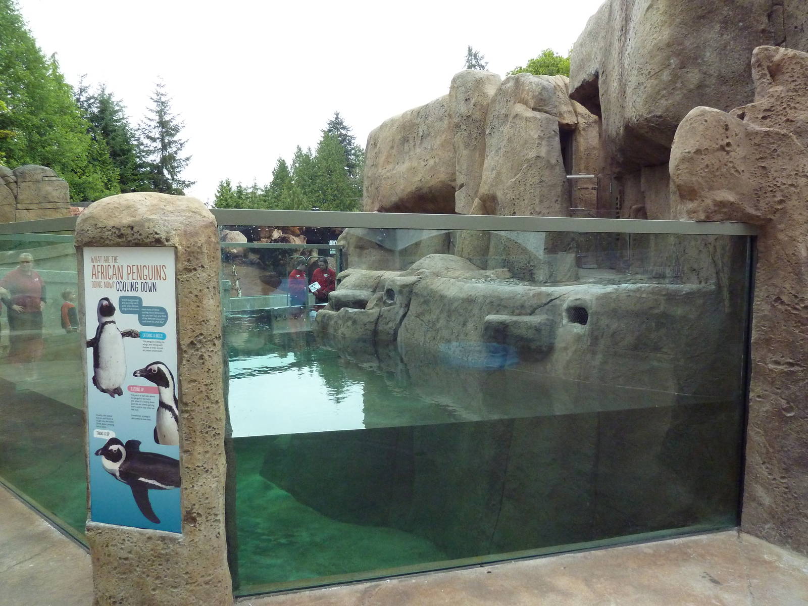 Penguin Point - Opened on May 18th, 2012