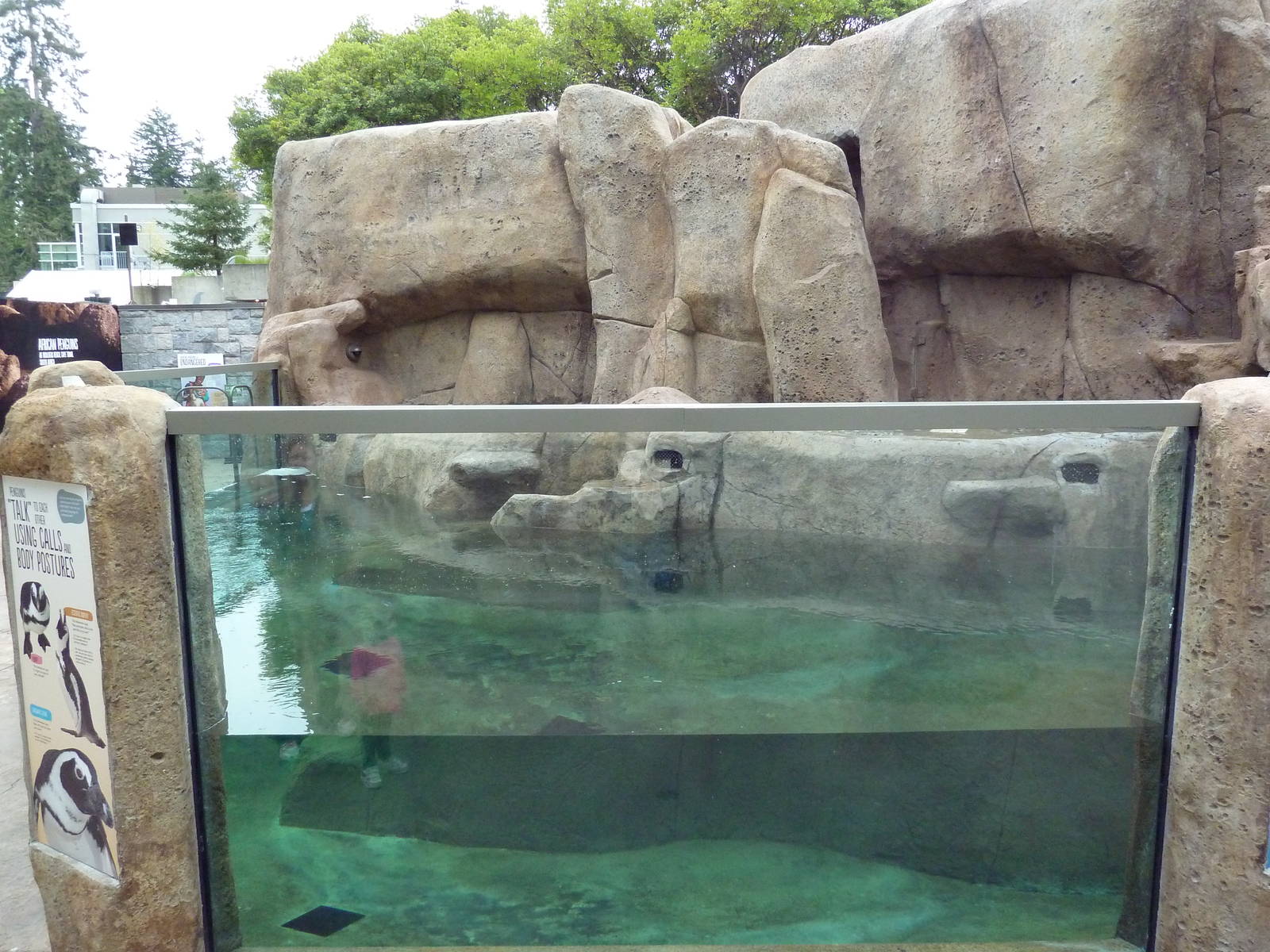 Penguin Point - Opened on May 18th, 2012