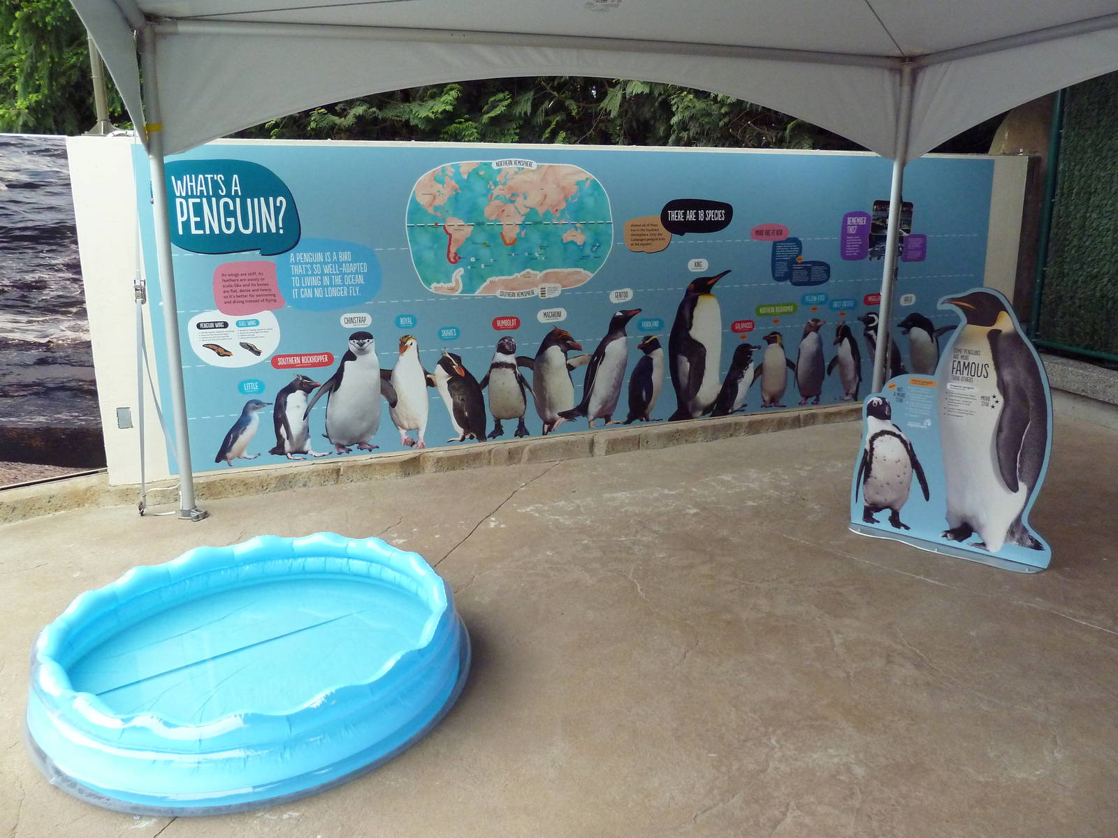 Penguin Point Signage - Opened on May 18th, 2012