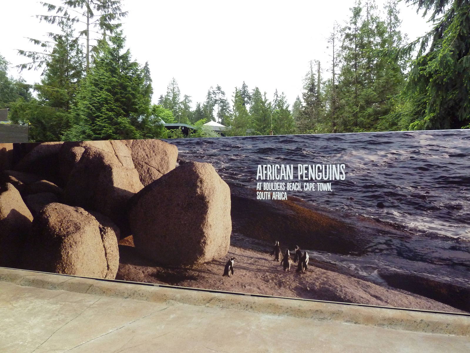 Penguin Point Signage - Opened on May 18th, 2012