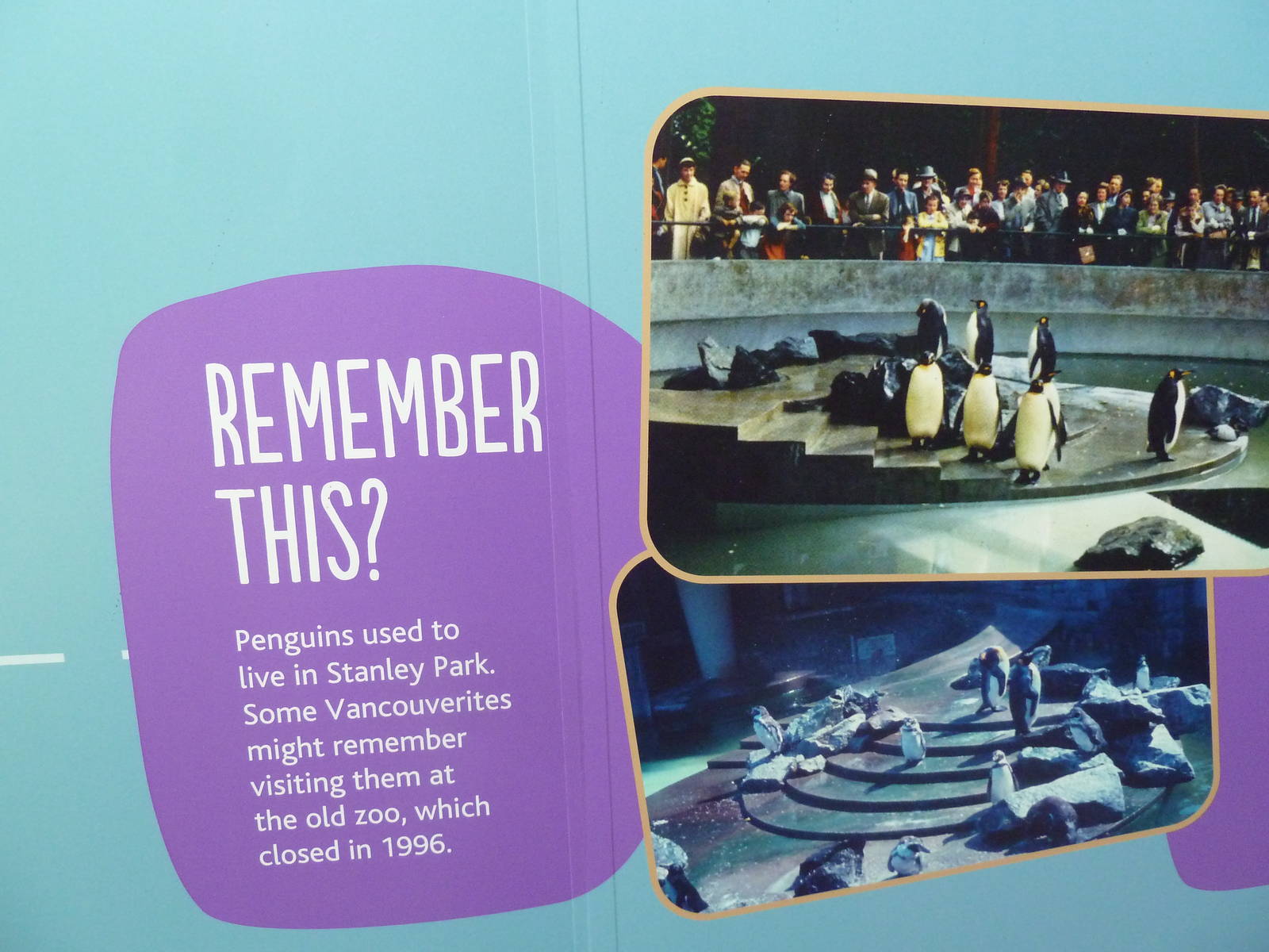 Penguin Point Signage - Opened on May 18th, 2012