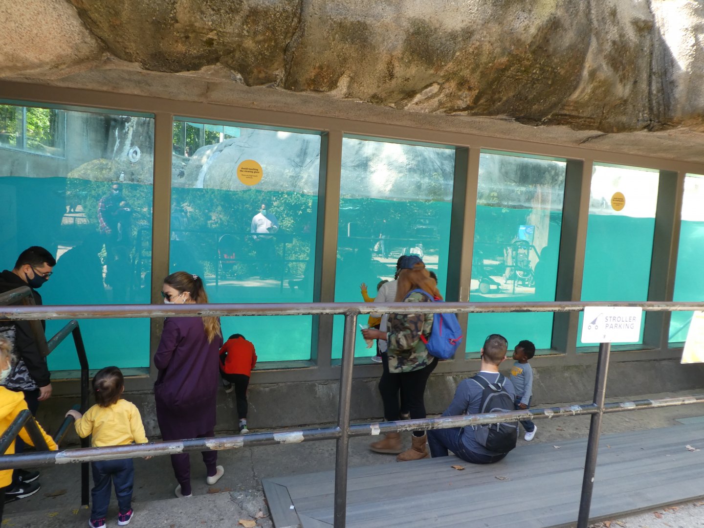 Penguin Point - Underwater Viewing