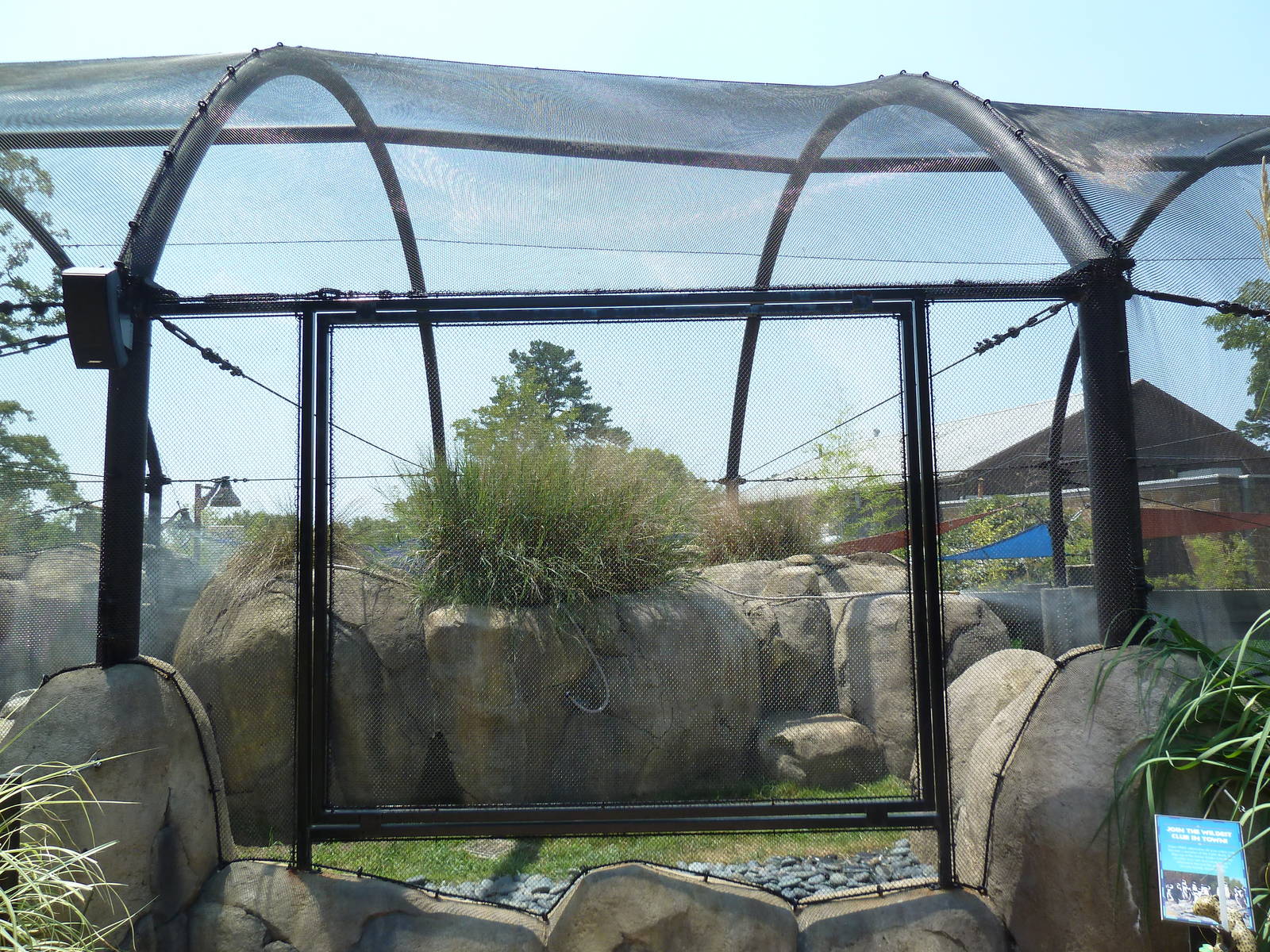 Penguin Pointe (New in 2011)