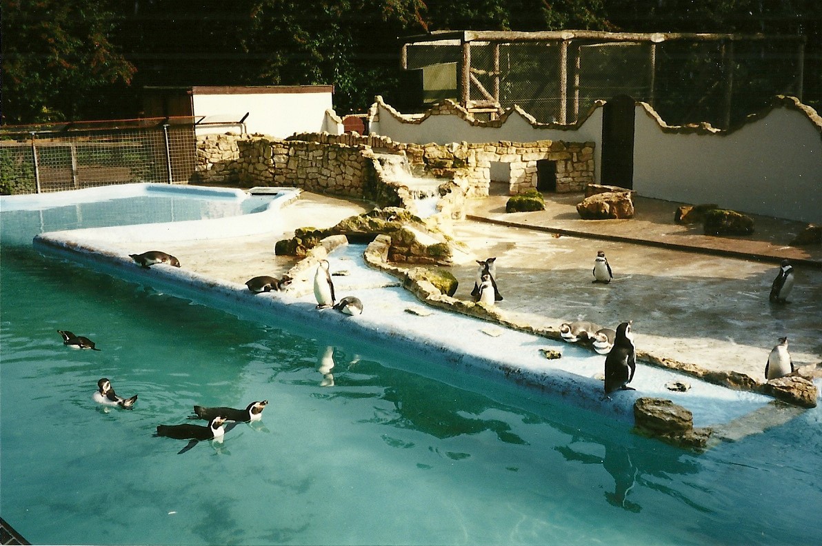 Penguin Pool, 23rd September 2000