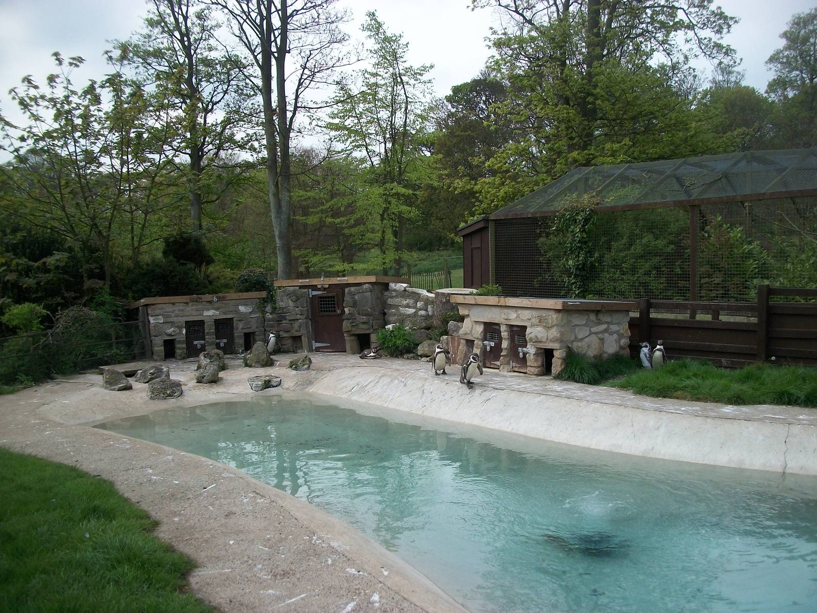 Penguin Pool, 4th May 2014