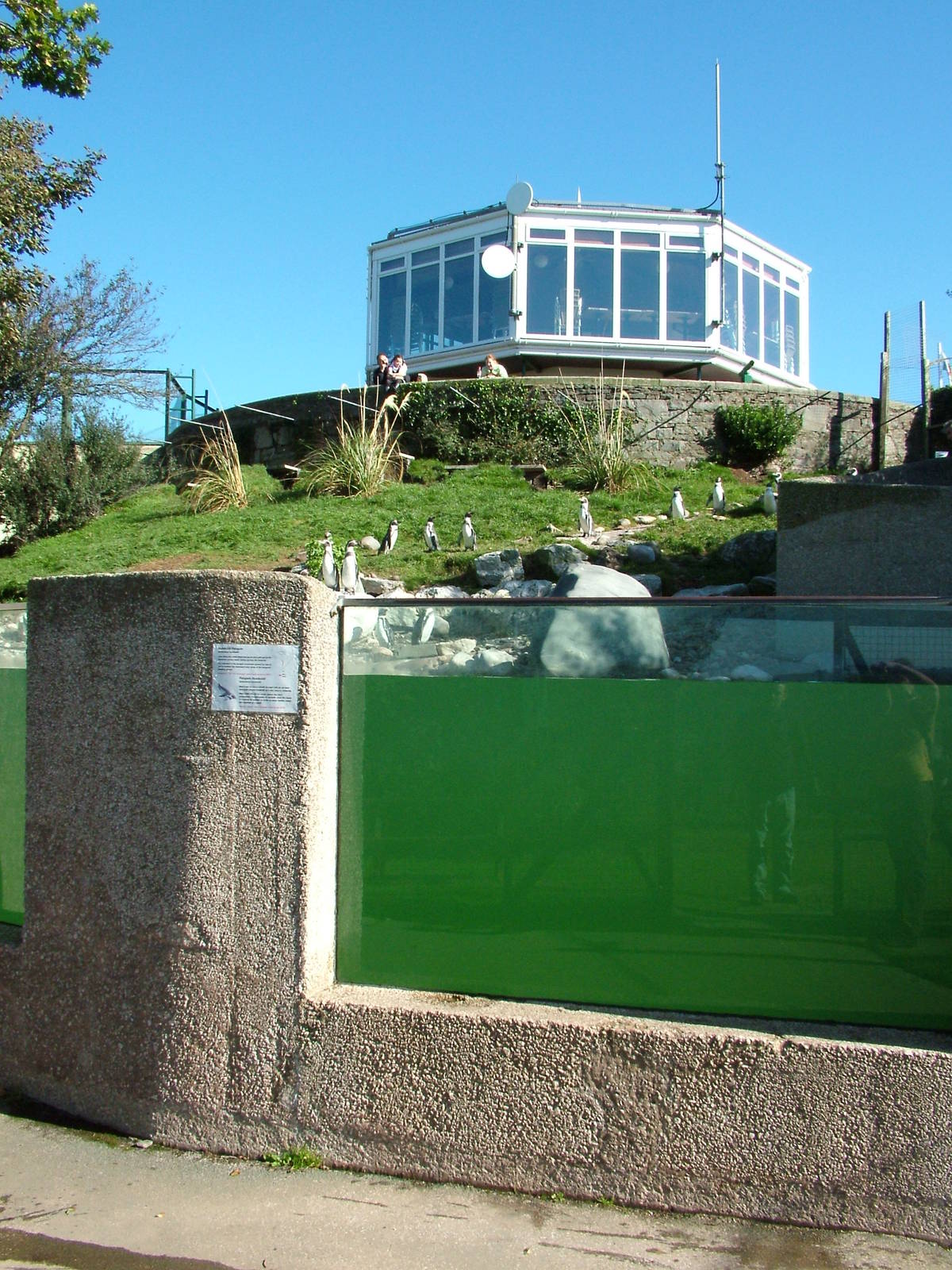 Penguin Pool and Flagstaff Cafe at the Welsh Mountain Zoo Oct 08