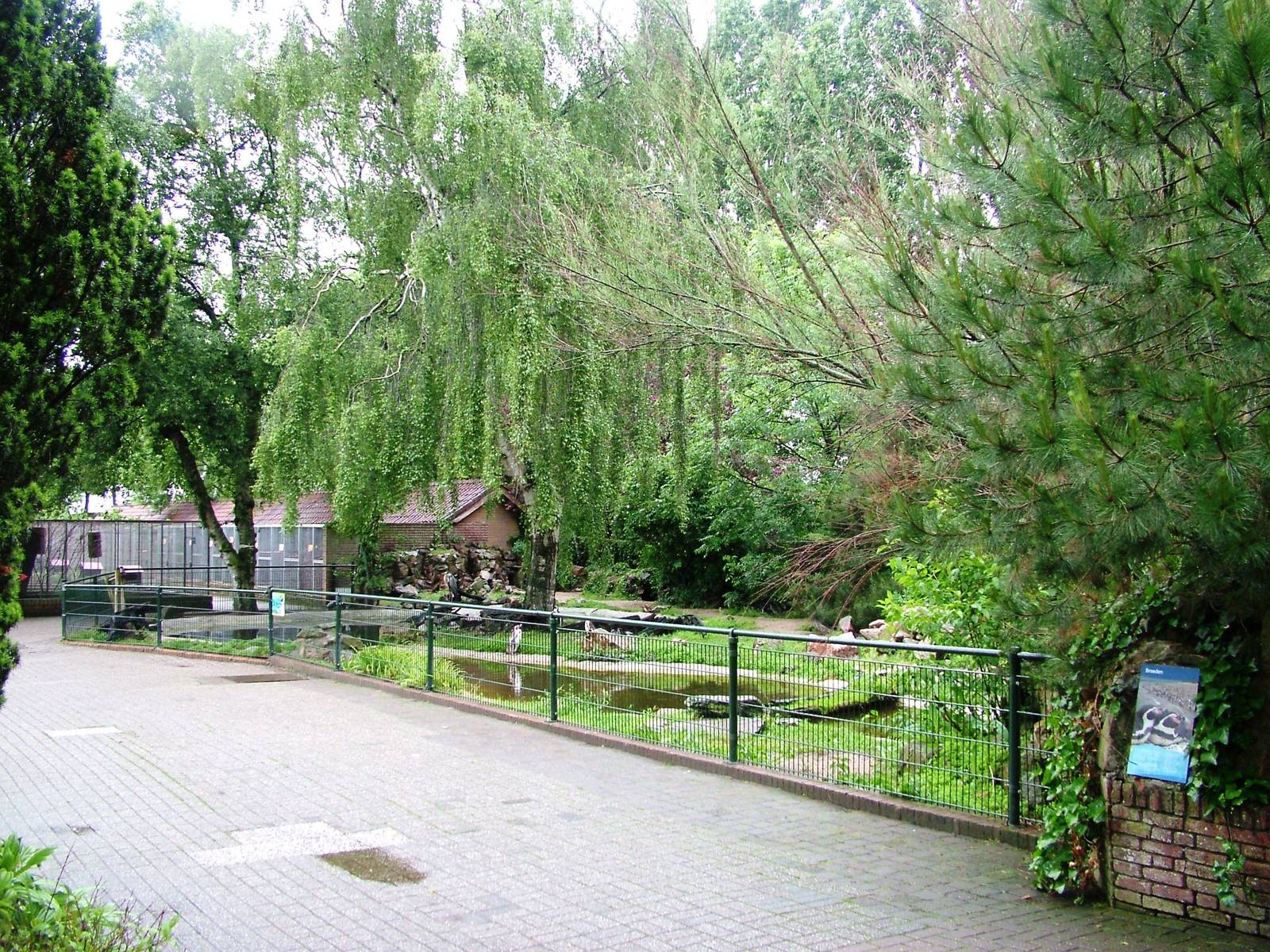 Penguin Pool at Avifauna, 04/06/12