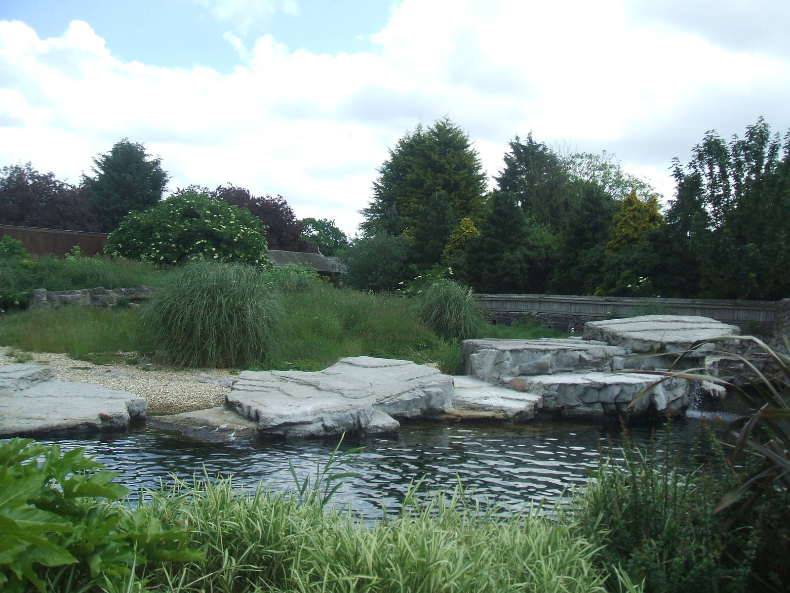 Penguin Pool at Chester Zoo