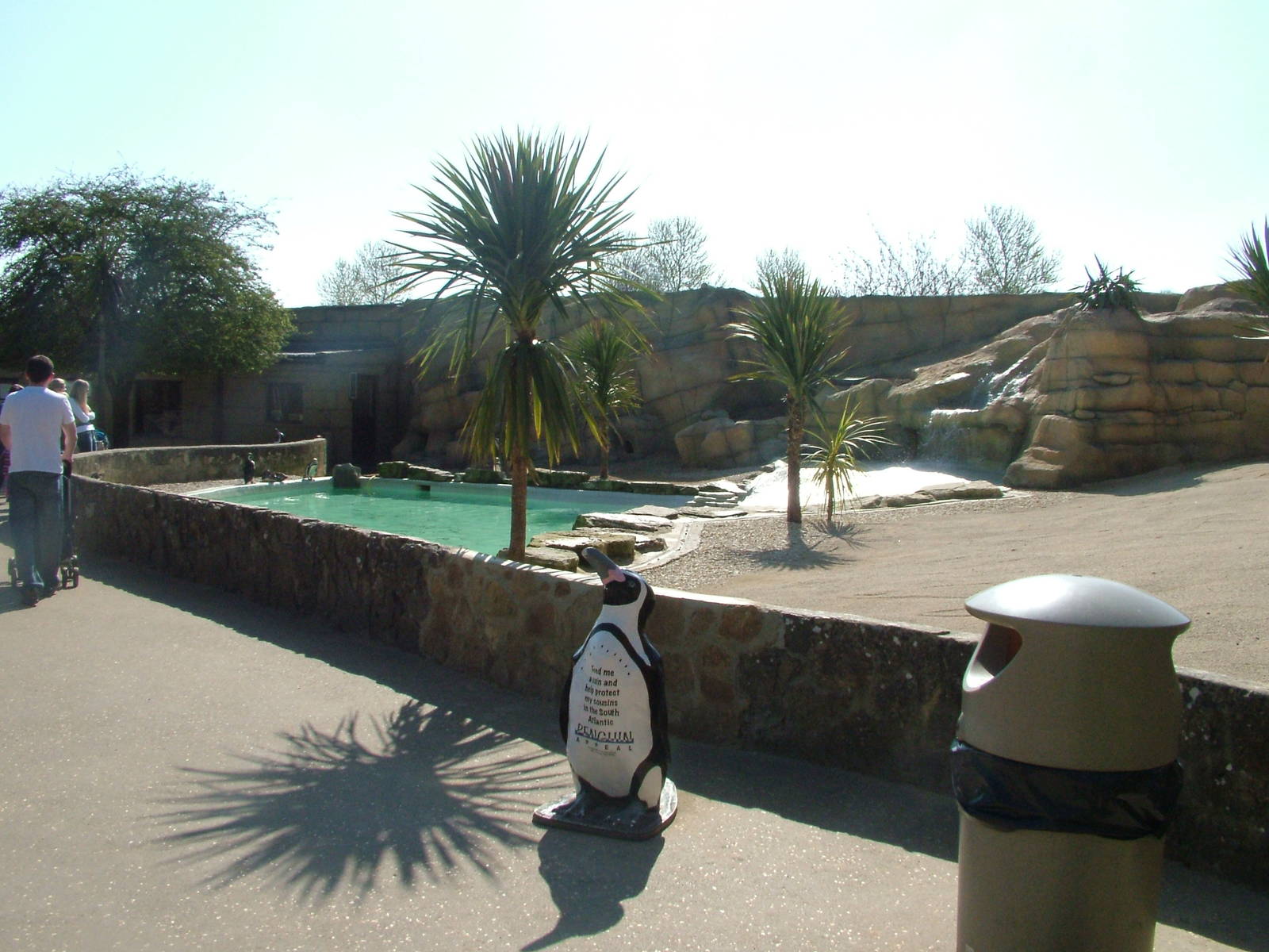 Penguin Pool at Cotswold WP 17/04/10