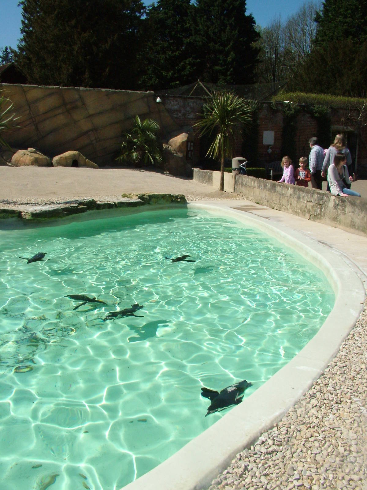 Penguin Pool at Cotswold WP 17/04/10