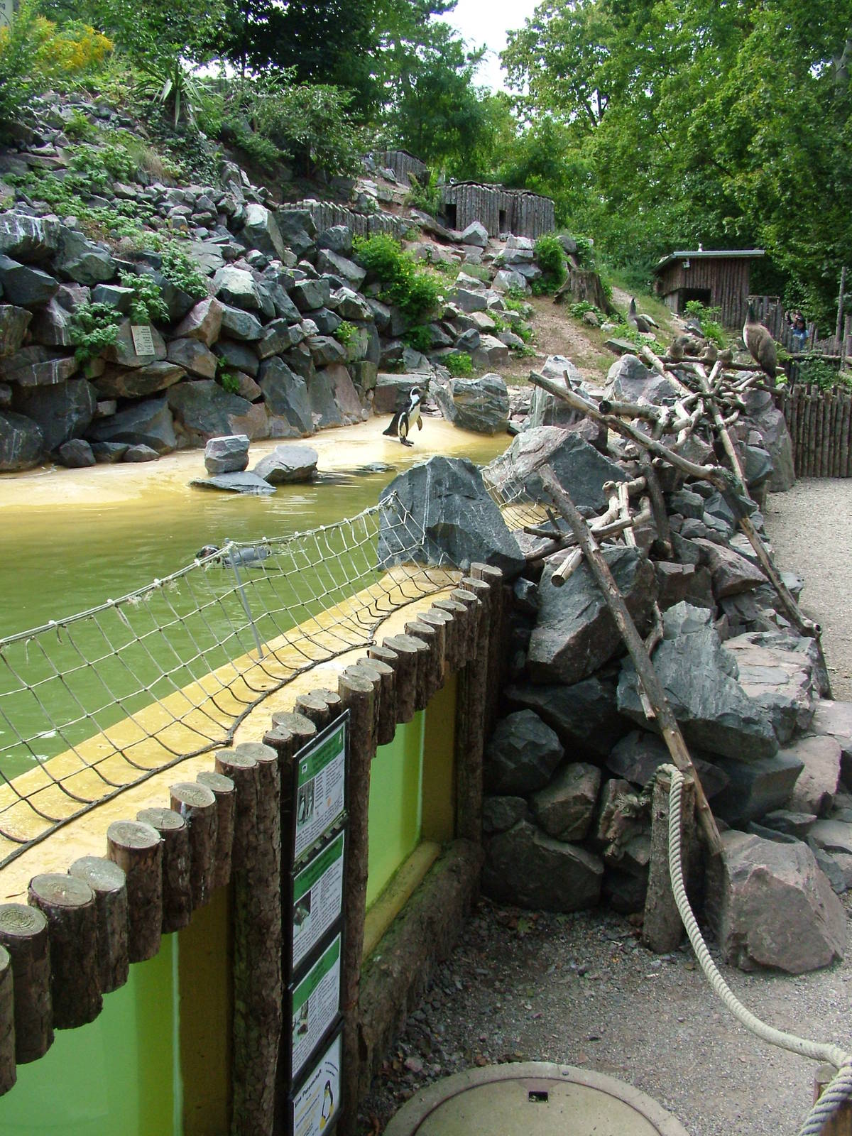 Penguin Pool at Landau Zoo, 04/09/10