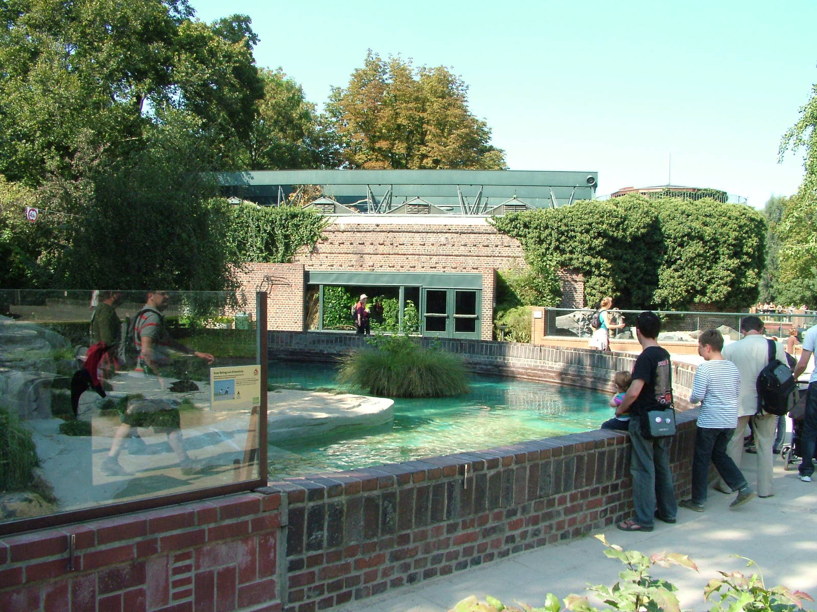 Penguin Pool at Leipzig, 02/09/11