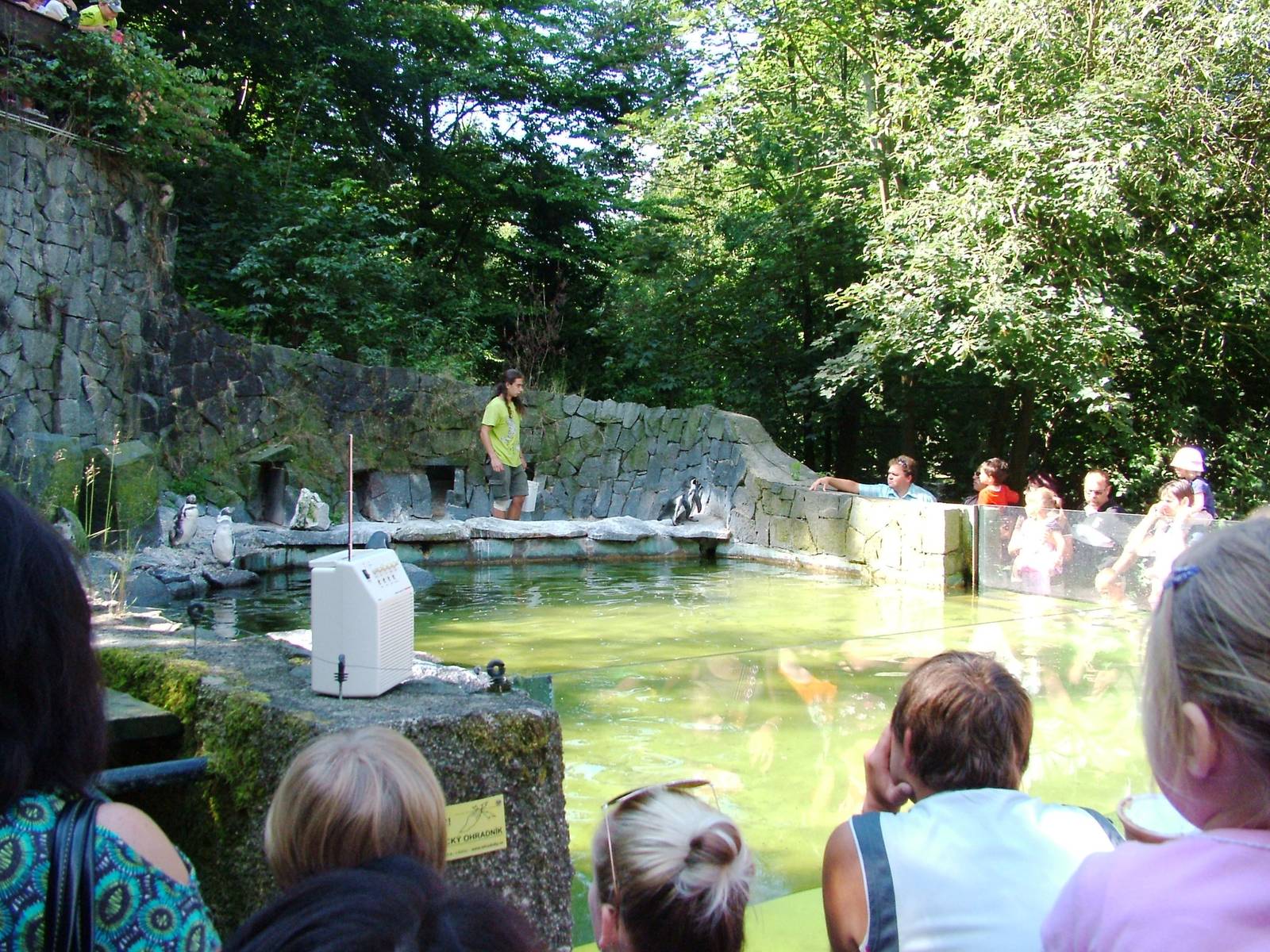 Penguin Pool at Liberec, 28/08/12