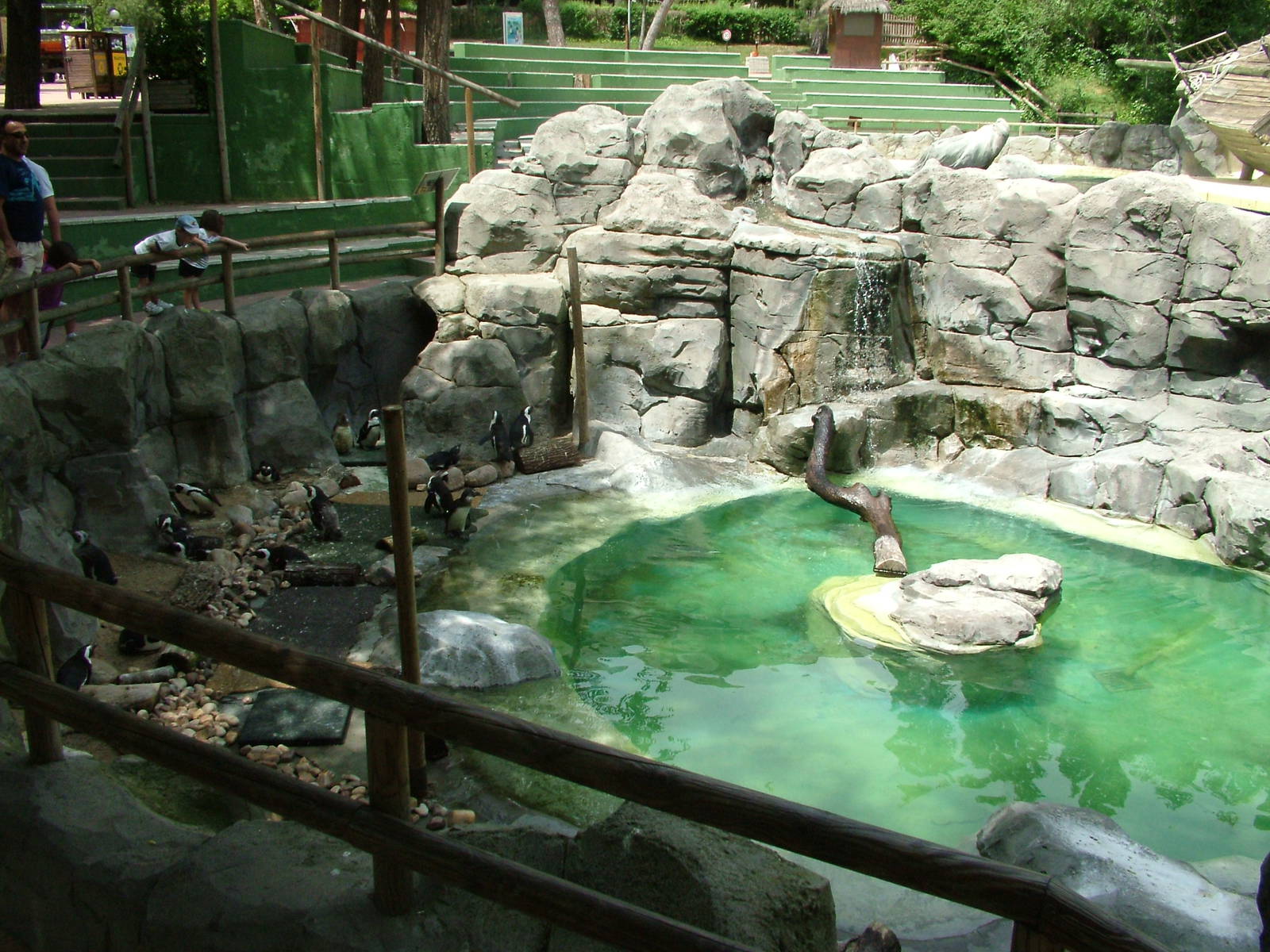 Penguin Pool at Madrid Zoo Aquarium, 26/05/11