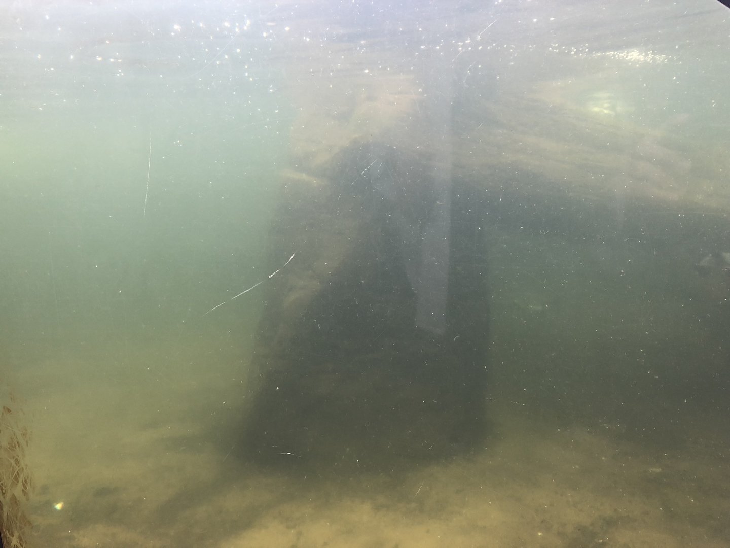 Penguin Pool at SEA LIFE Scarborough (September 2022)