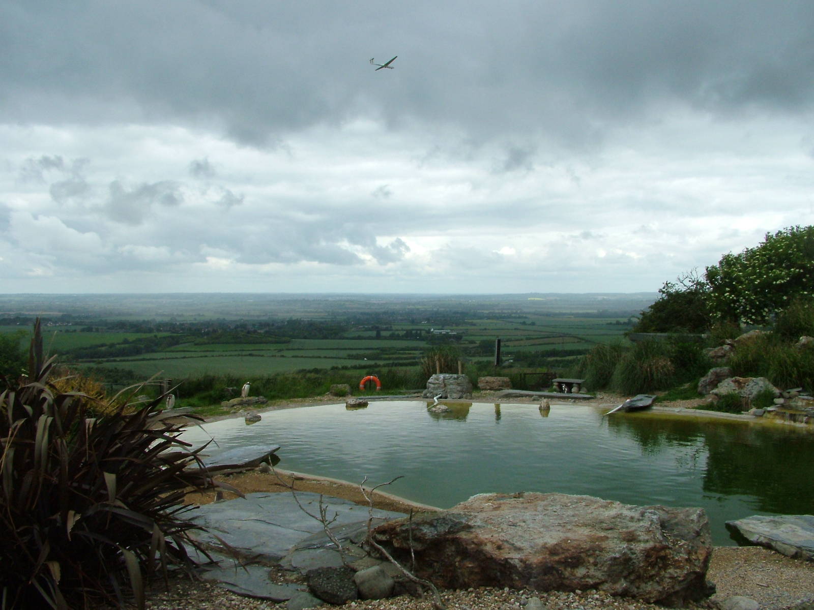 Penguin Pool at Whipsnade 20/06/09