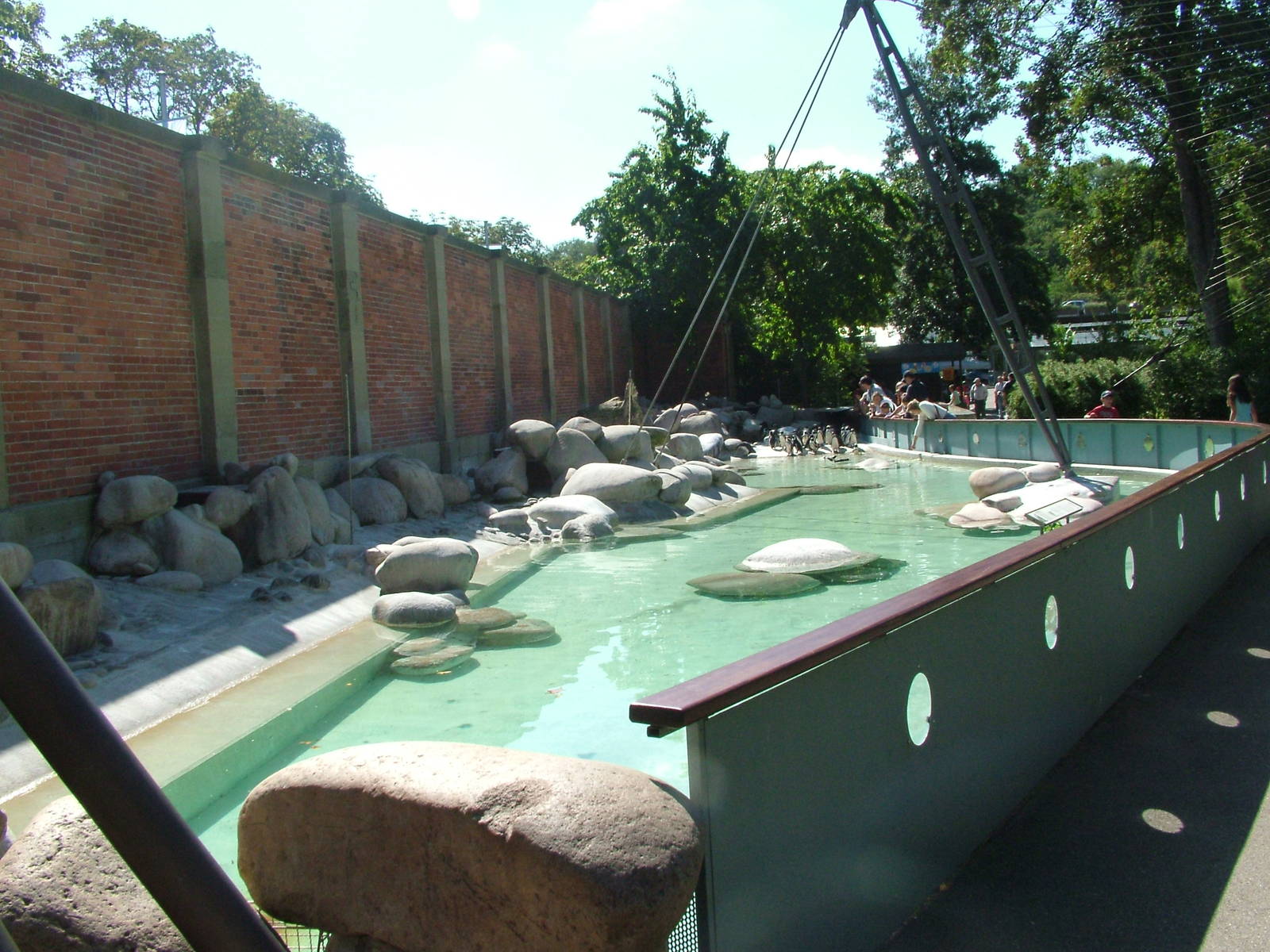 Penguin pool at Wilhelma, Stuttgart 2006