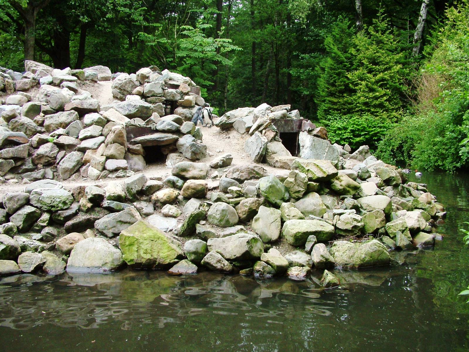 Penguin Pool at Wissel Zoo, Epe, 01/06/12