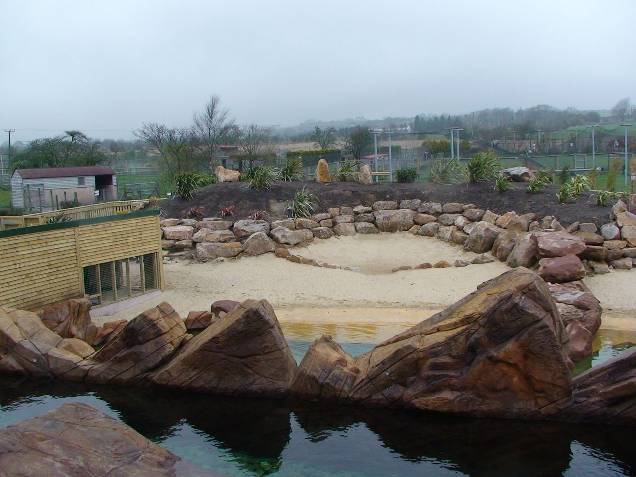 Penguin pool