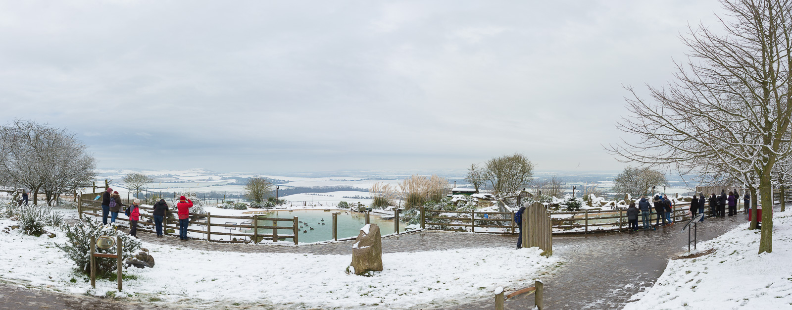 Penguin pools (exhibit) : Whipsnade : 17 Jan 2016