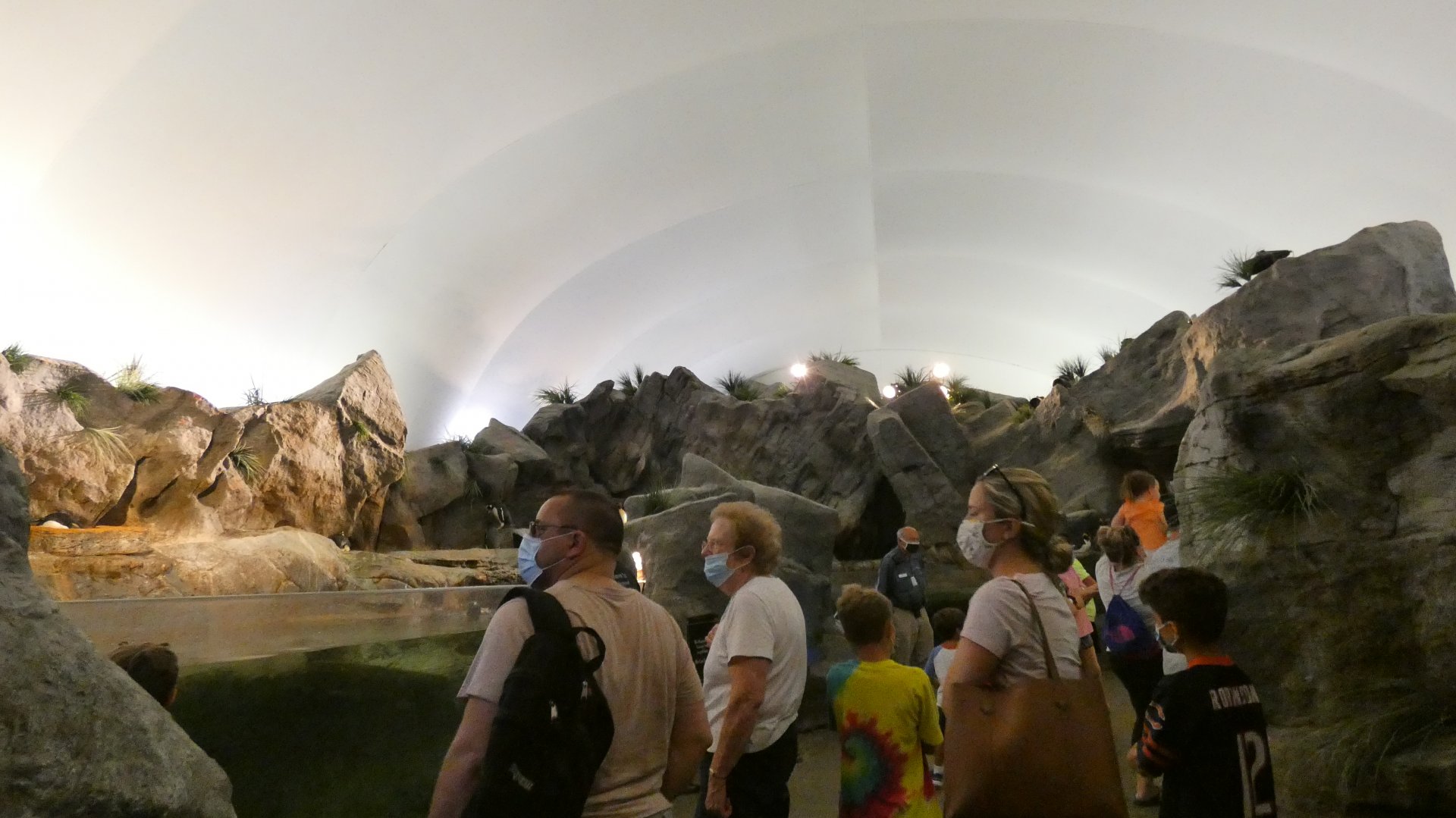 Penguin & Puffin Coast  - Sep. 2021