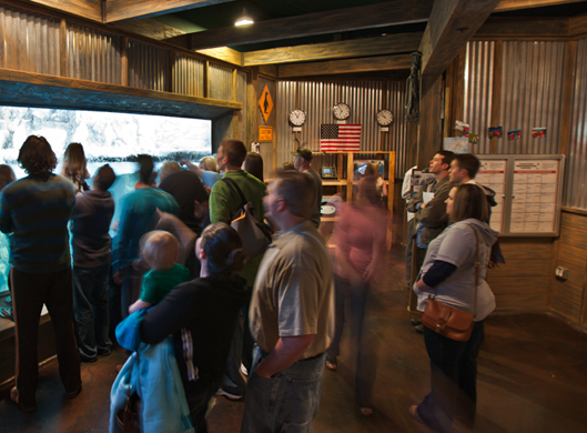 Penguin Research Station