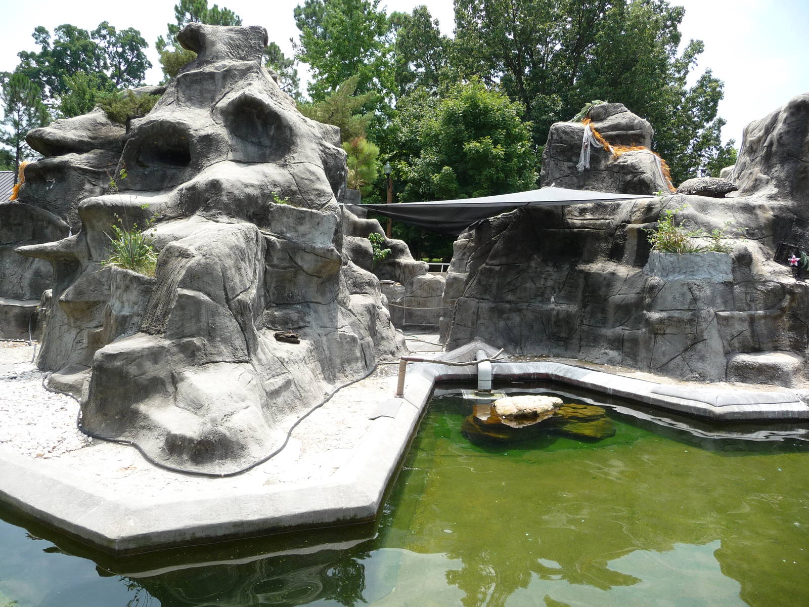 Penguin Rock - African Black-Footed Penguin Exhibit