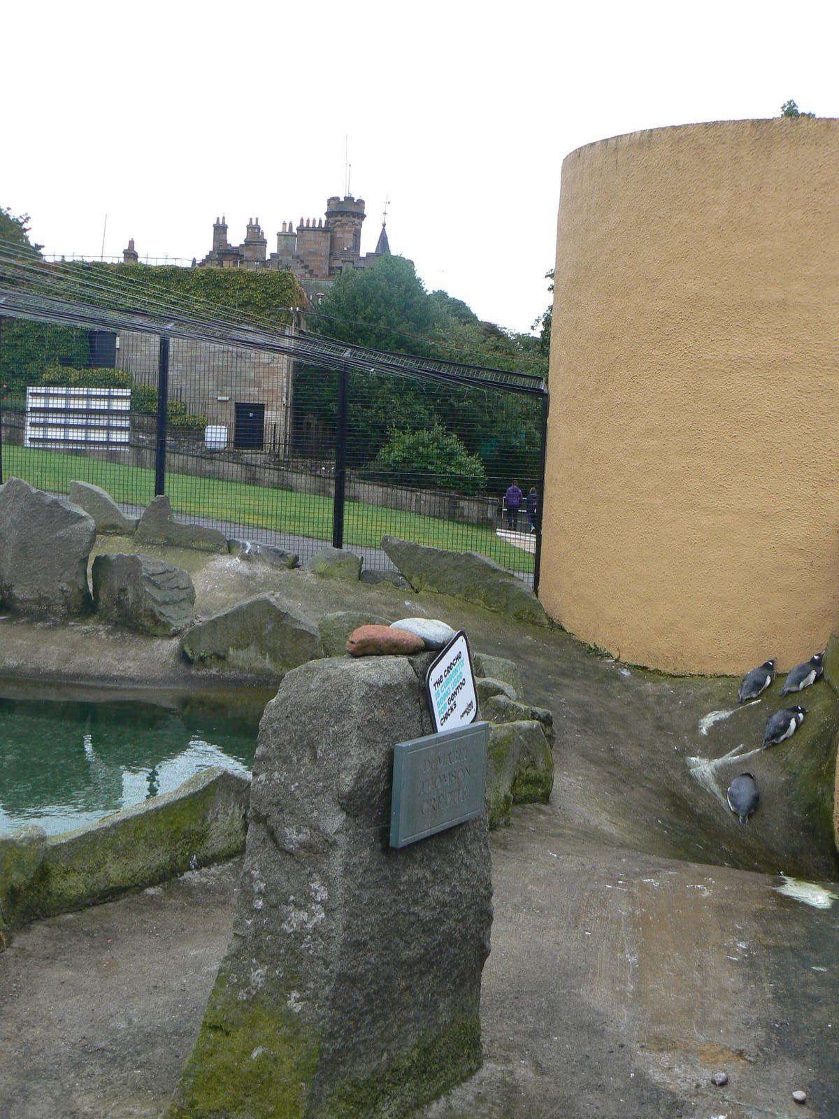 Penguin Rock- Creche