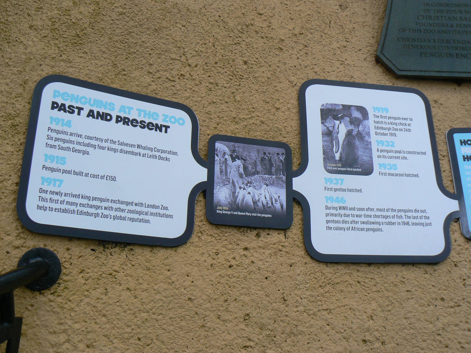 Penguin Rock- Signage