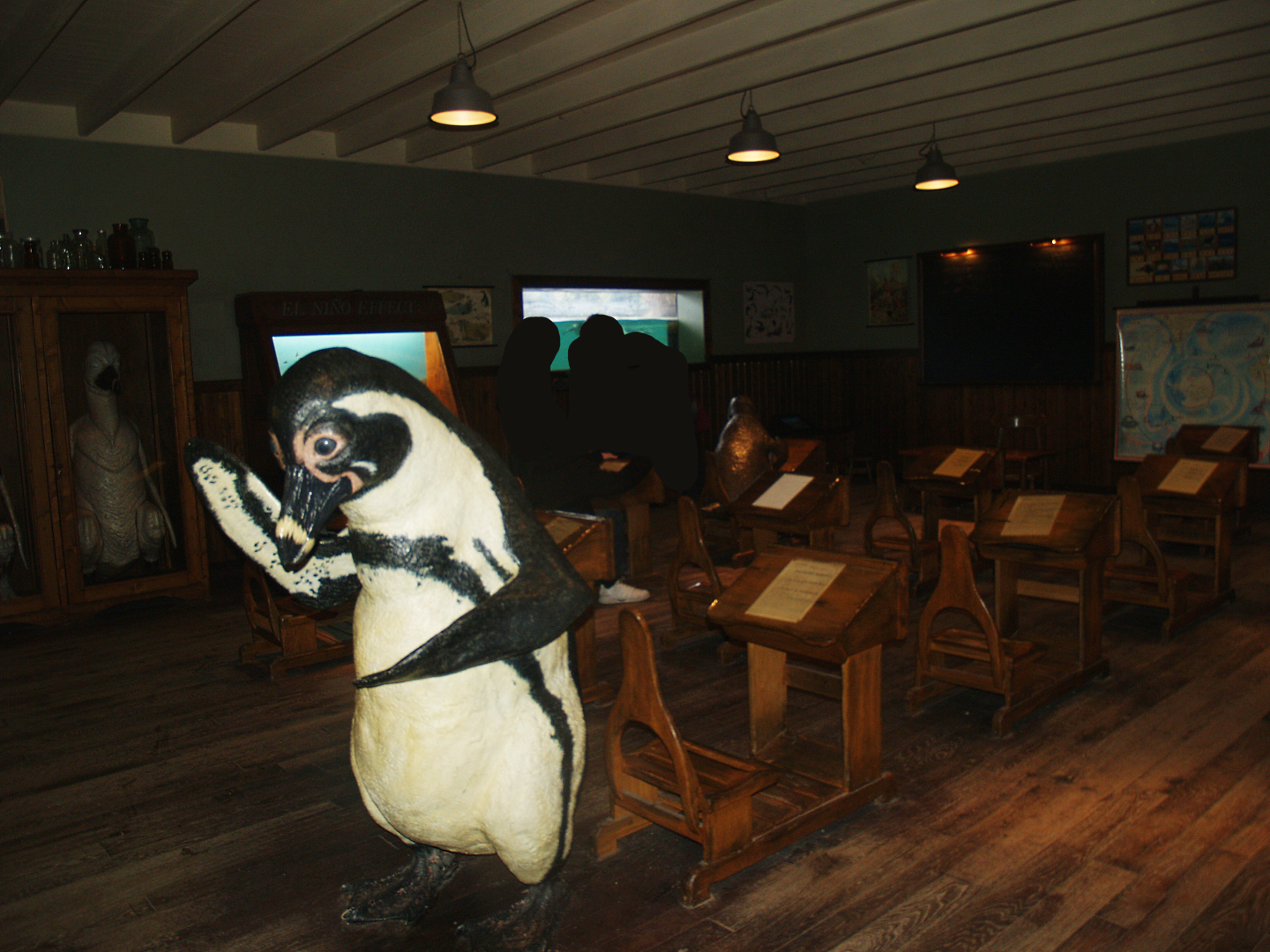 "Penguin school" education area, 2008-03-01