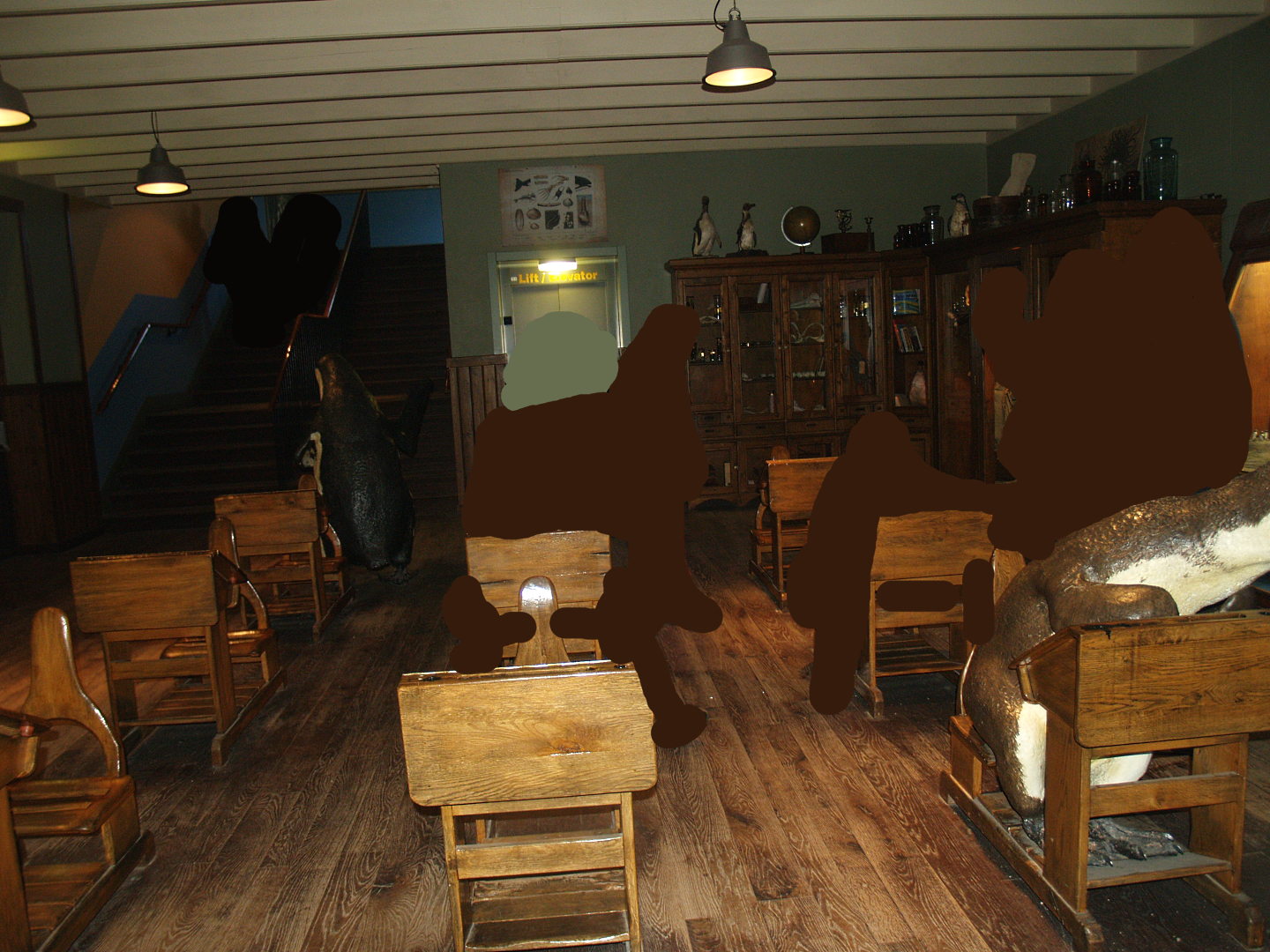 "Penguin school" education area, 2008-03-01