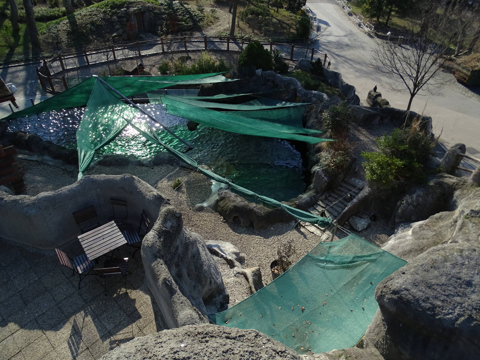 Penguin / seal enclosure