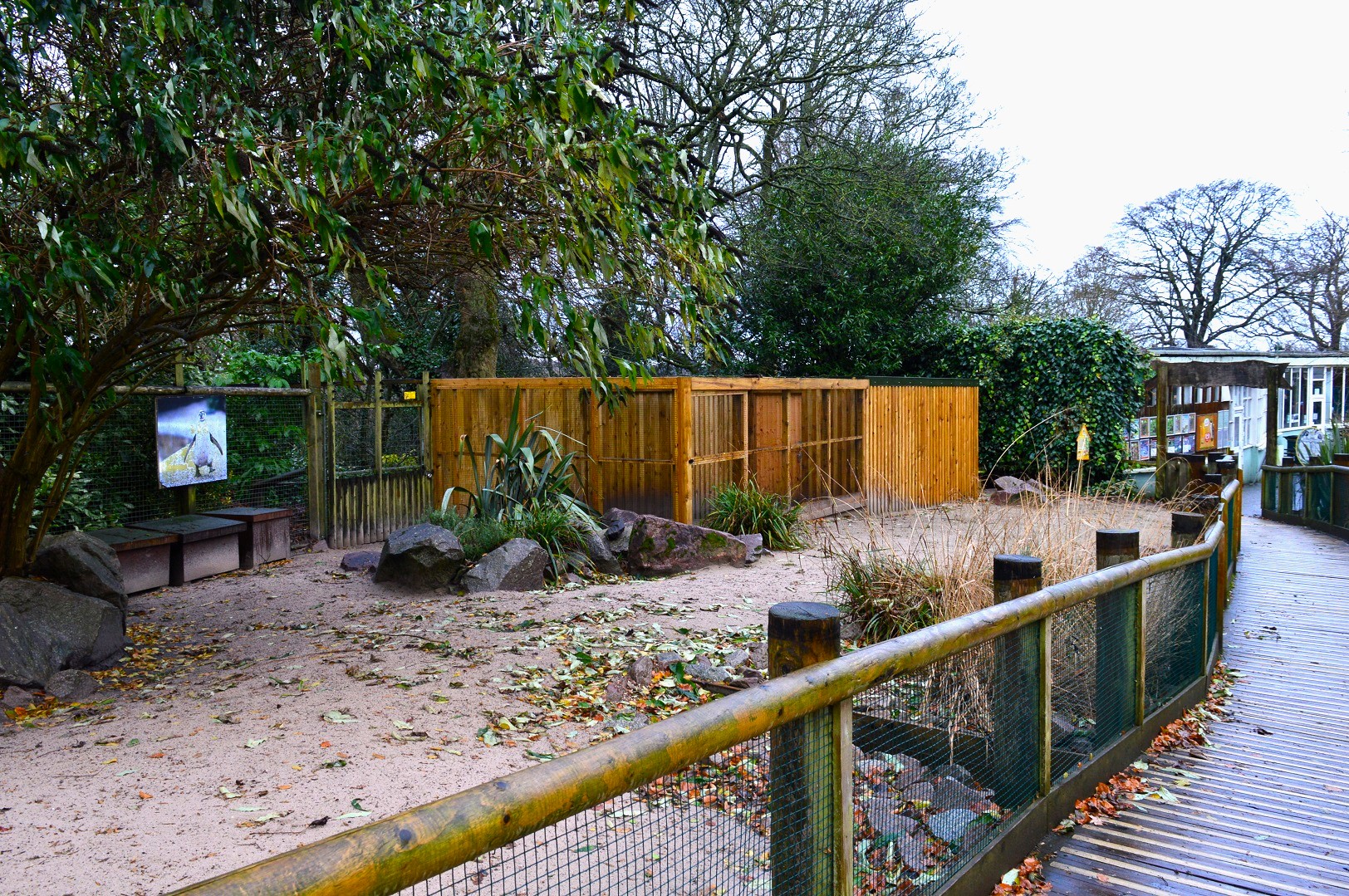 Penguin separation area