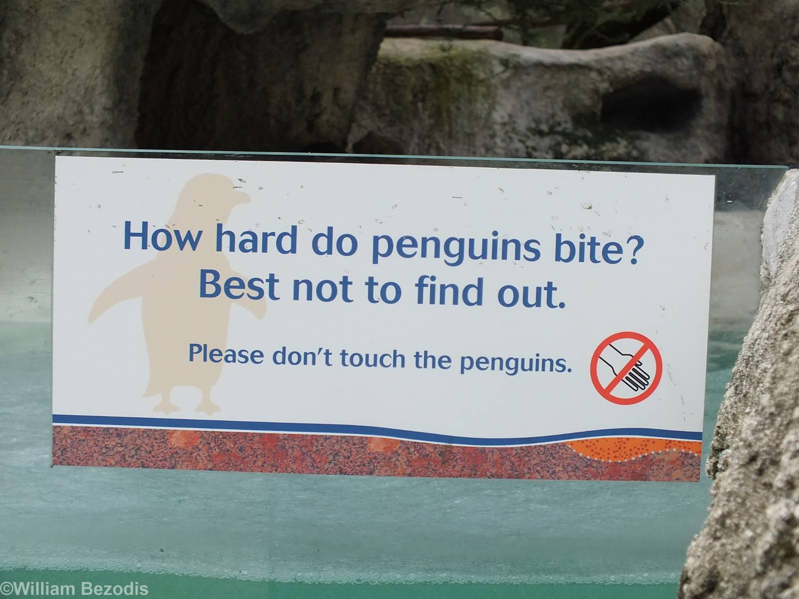 Penguin Sign