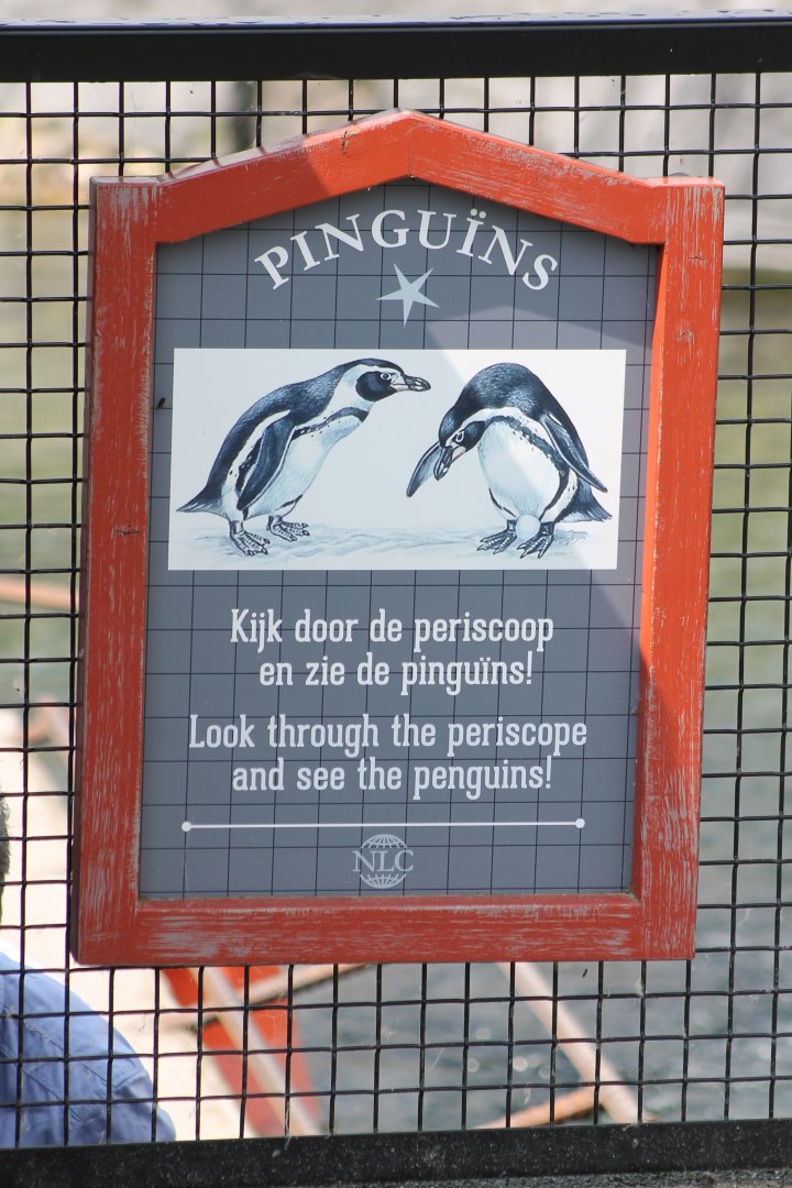 Penguin-sign
