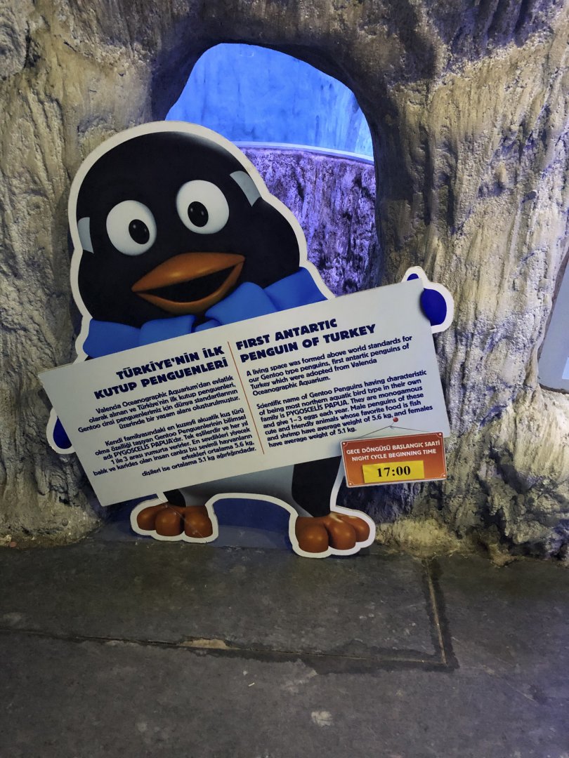 Penguin sign