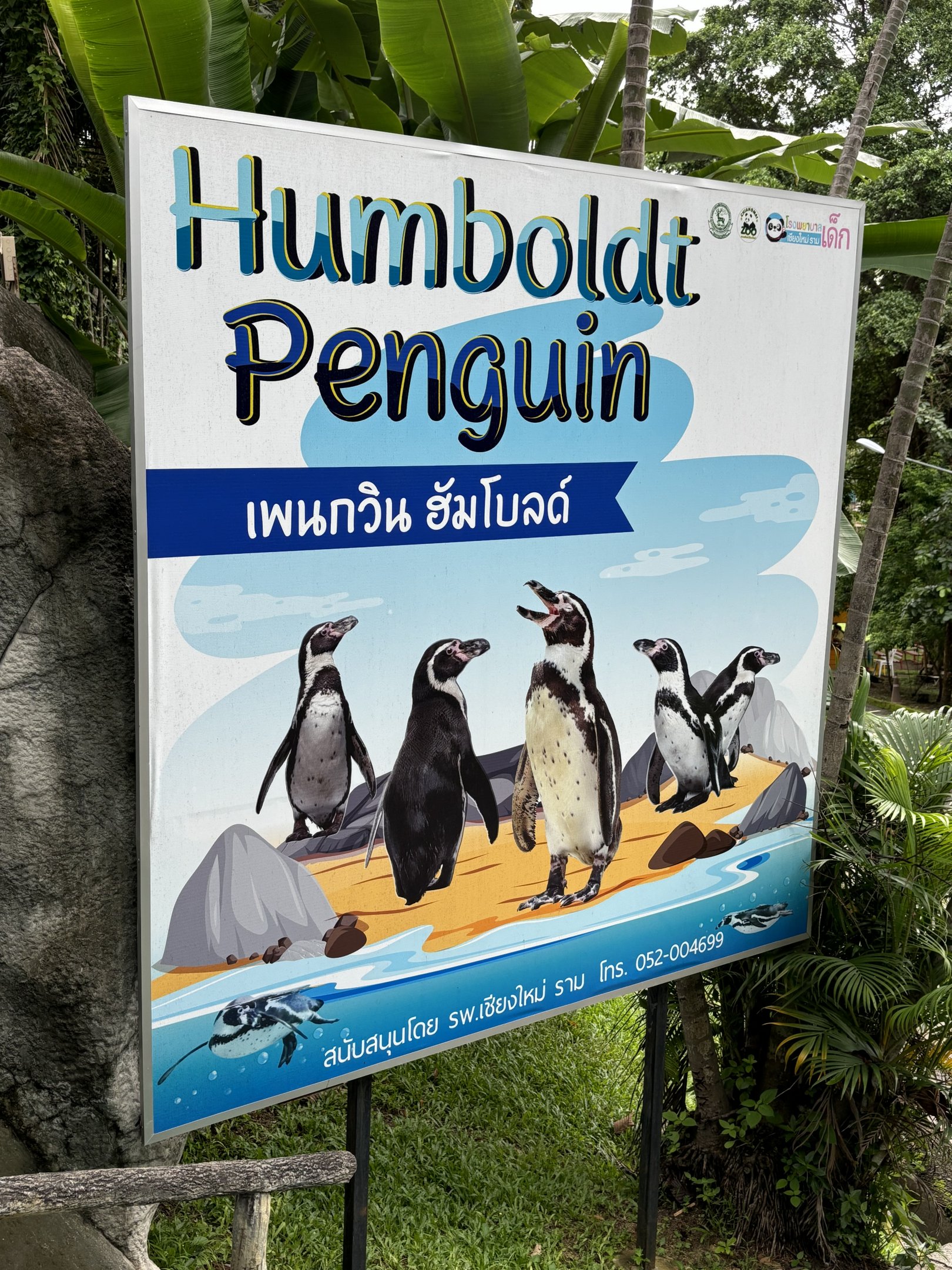 Penguin Sign