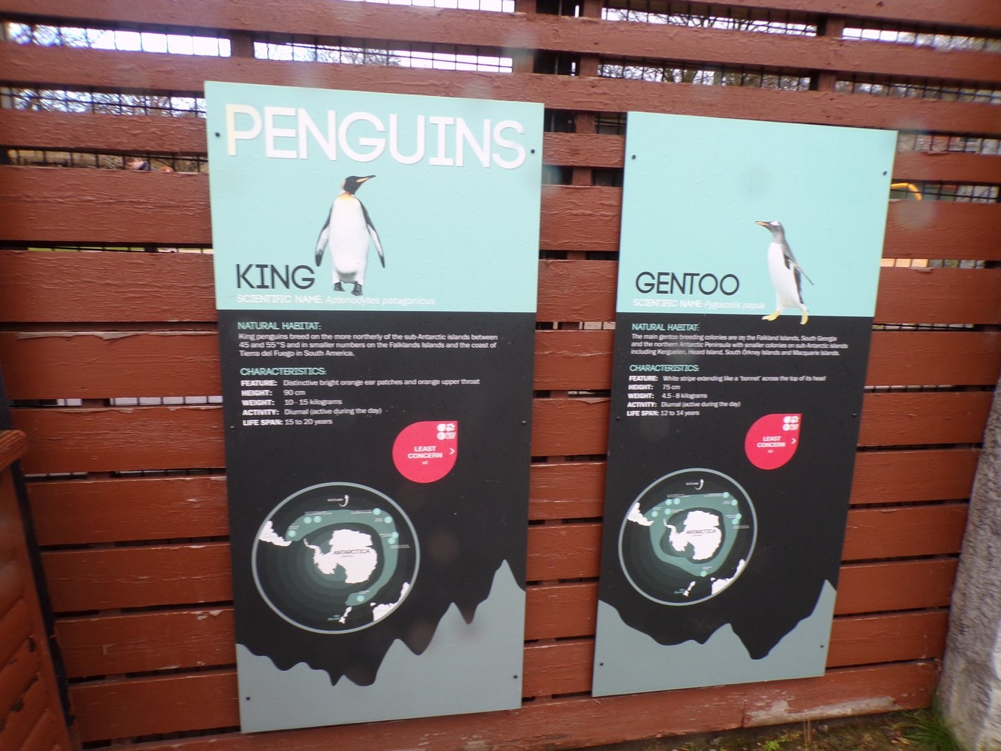 Penguin signage 14.1.23