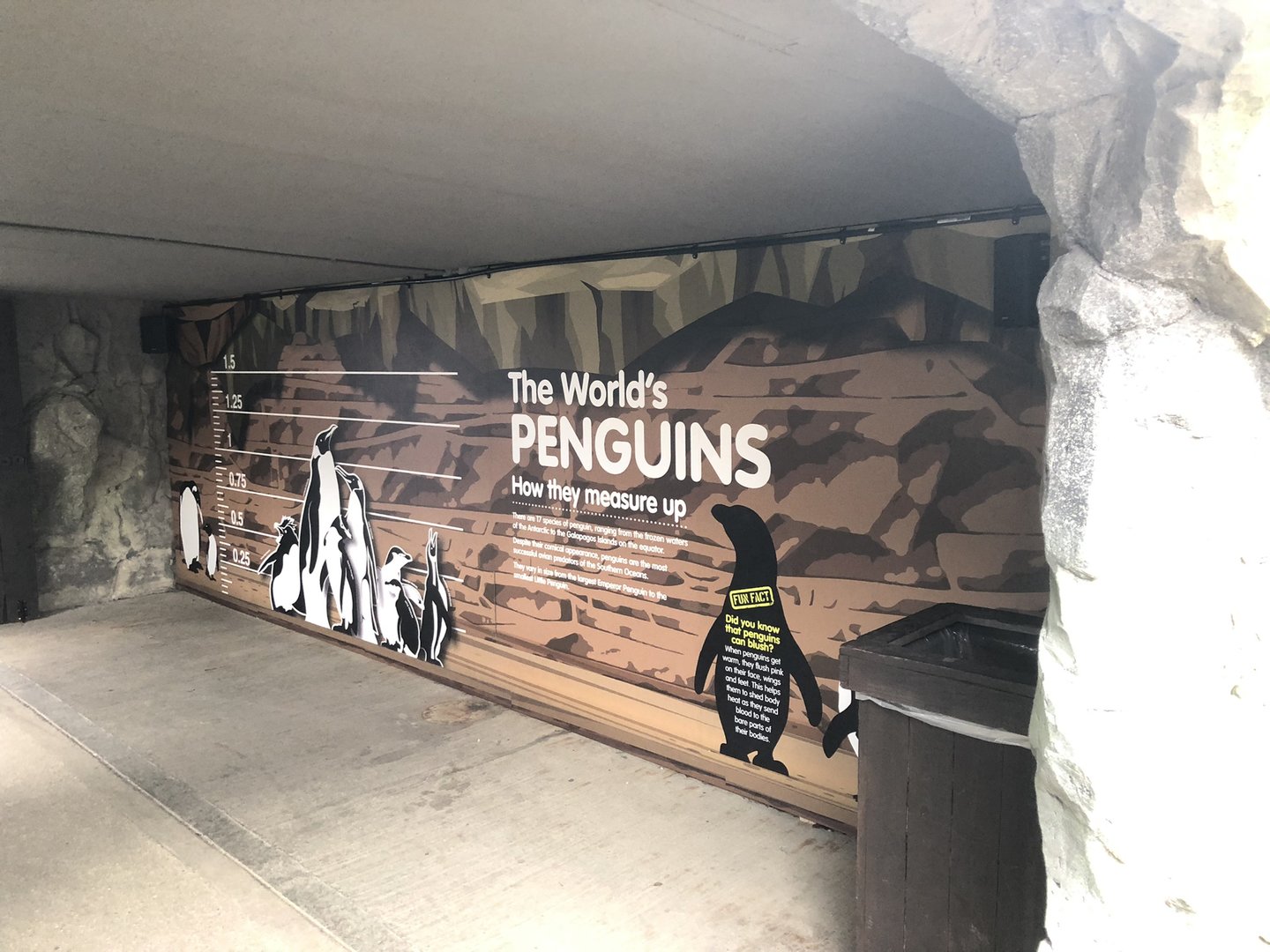 Penguin Signage at SEA LIFE Scarborough (September 2022)