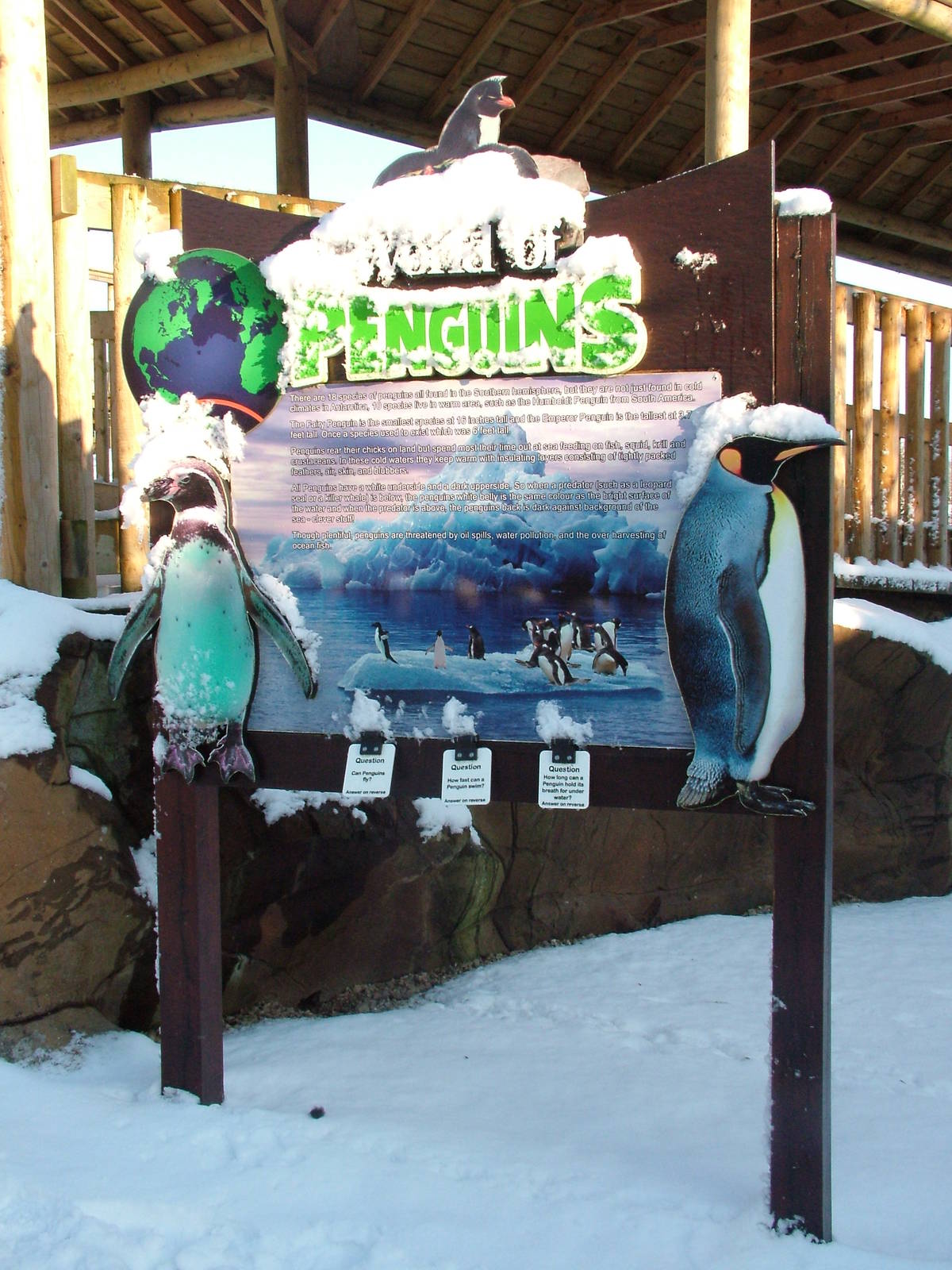 Penguin signage, Blackbrook in the Snow, 03/01/10