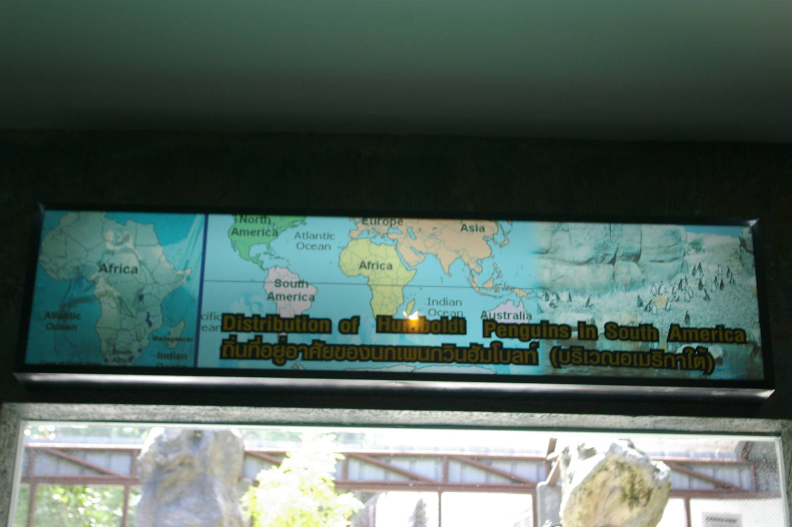 penguin signage, Chiang Mai Zoo (Thailand)