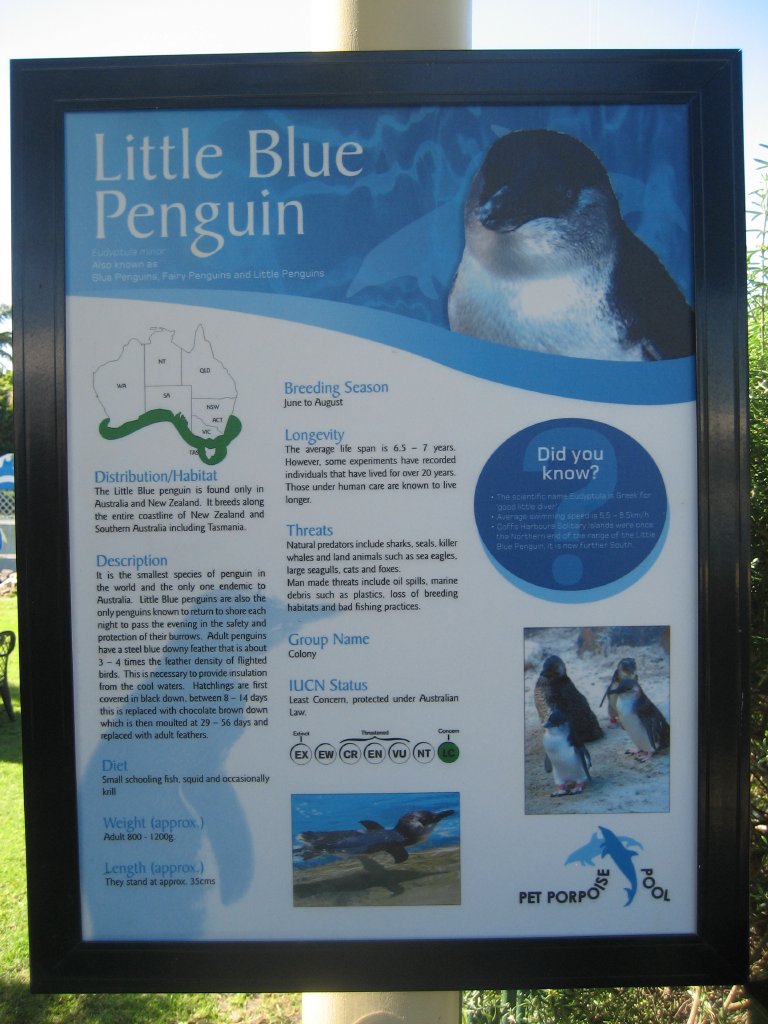 Penguin signage