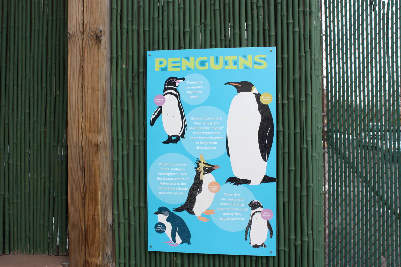 Penguin Signage