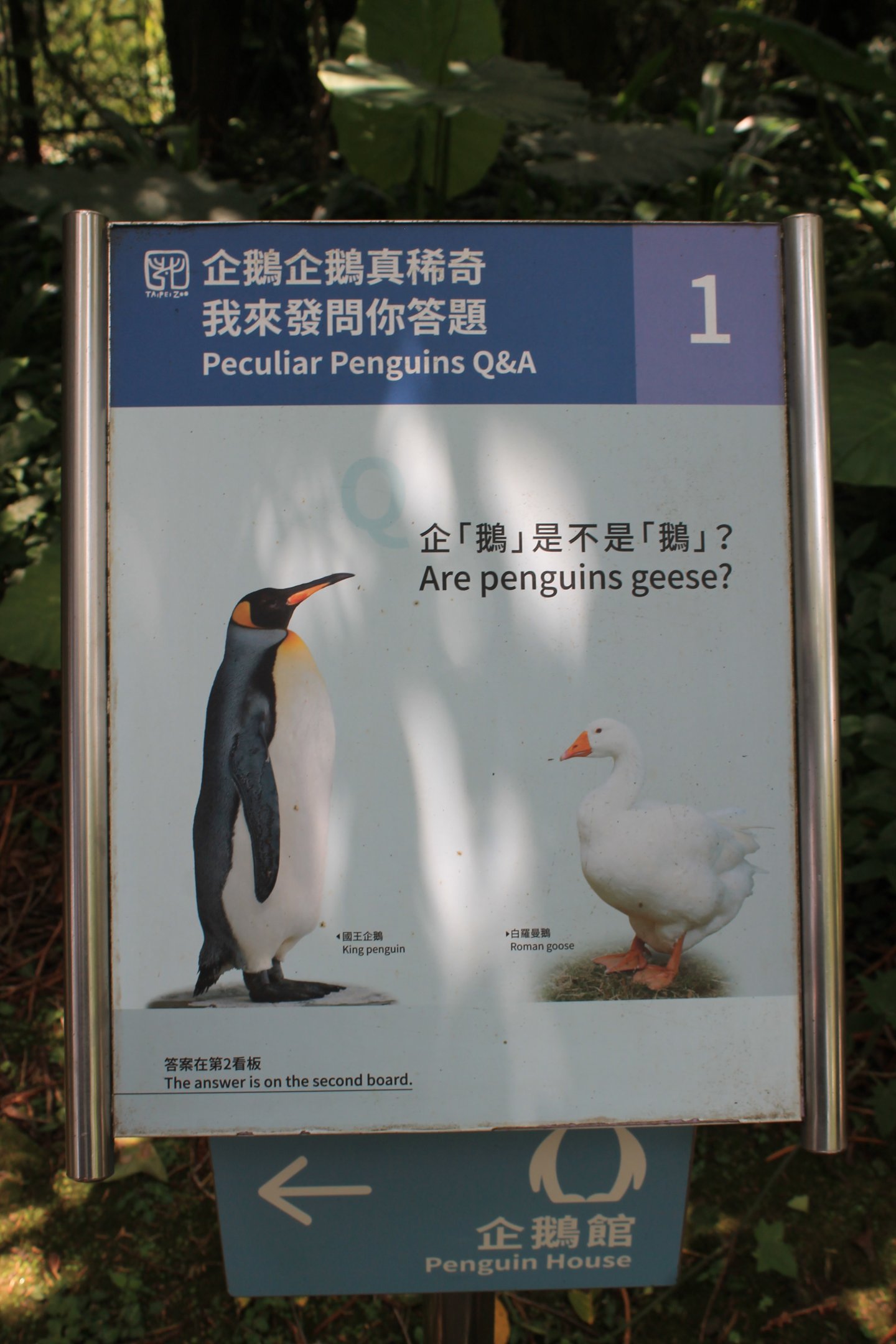 Penguin signage
