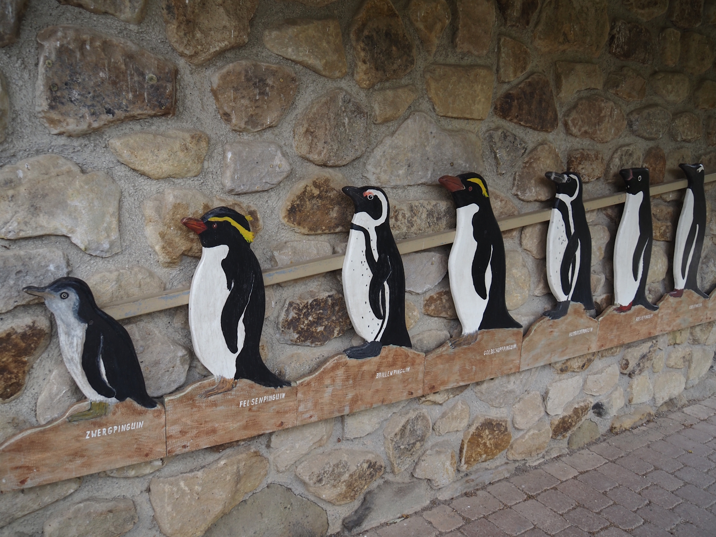Penguin species size comparison in the entrance to the Humboldt penguin and Inca tern aviary, 2025-05-22